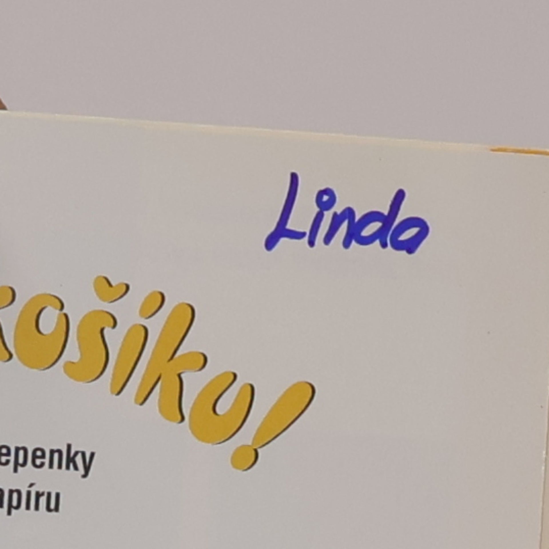Julia Täubner Hup do košíku! : košíčky z vlnité lepenky a barevného papíru