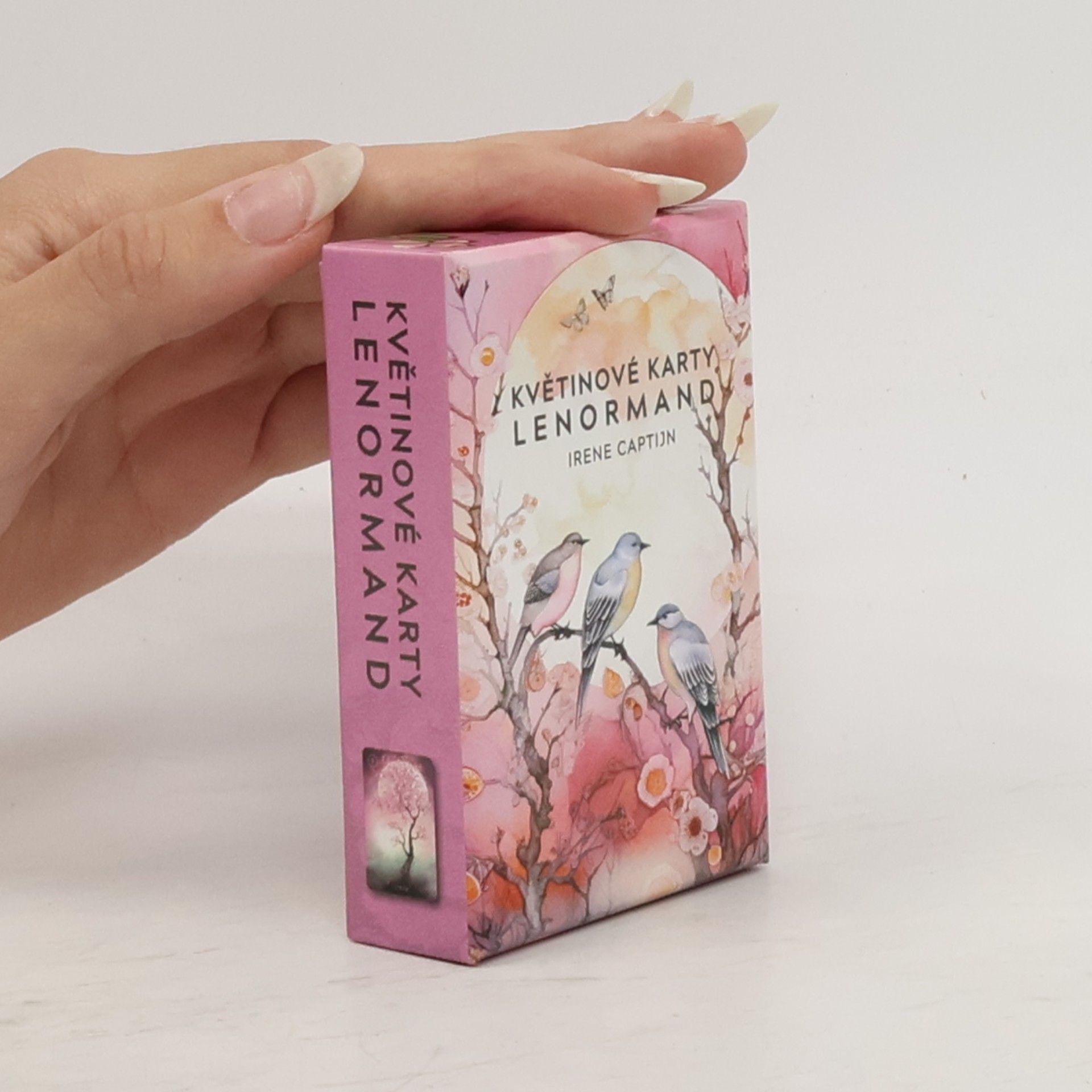 Irene Captijn Květinové karty Lenormand - Kniha a 36 karet
