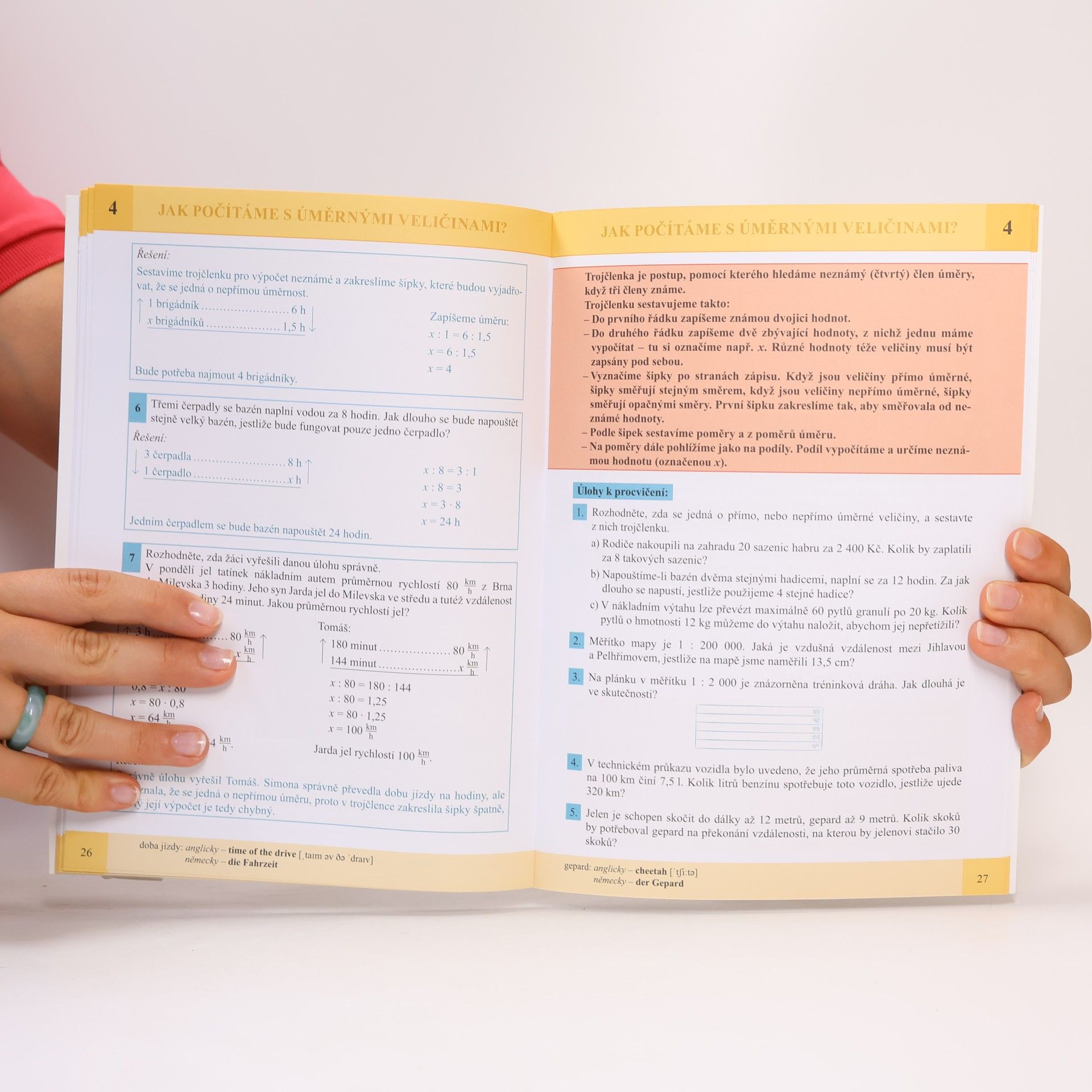 Michaela Jedličková Matematika. Procenta, trojčlenka