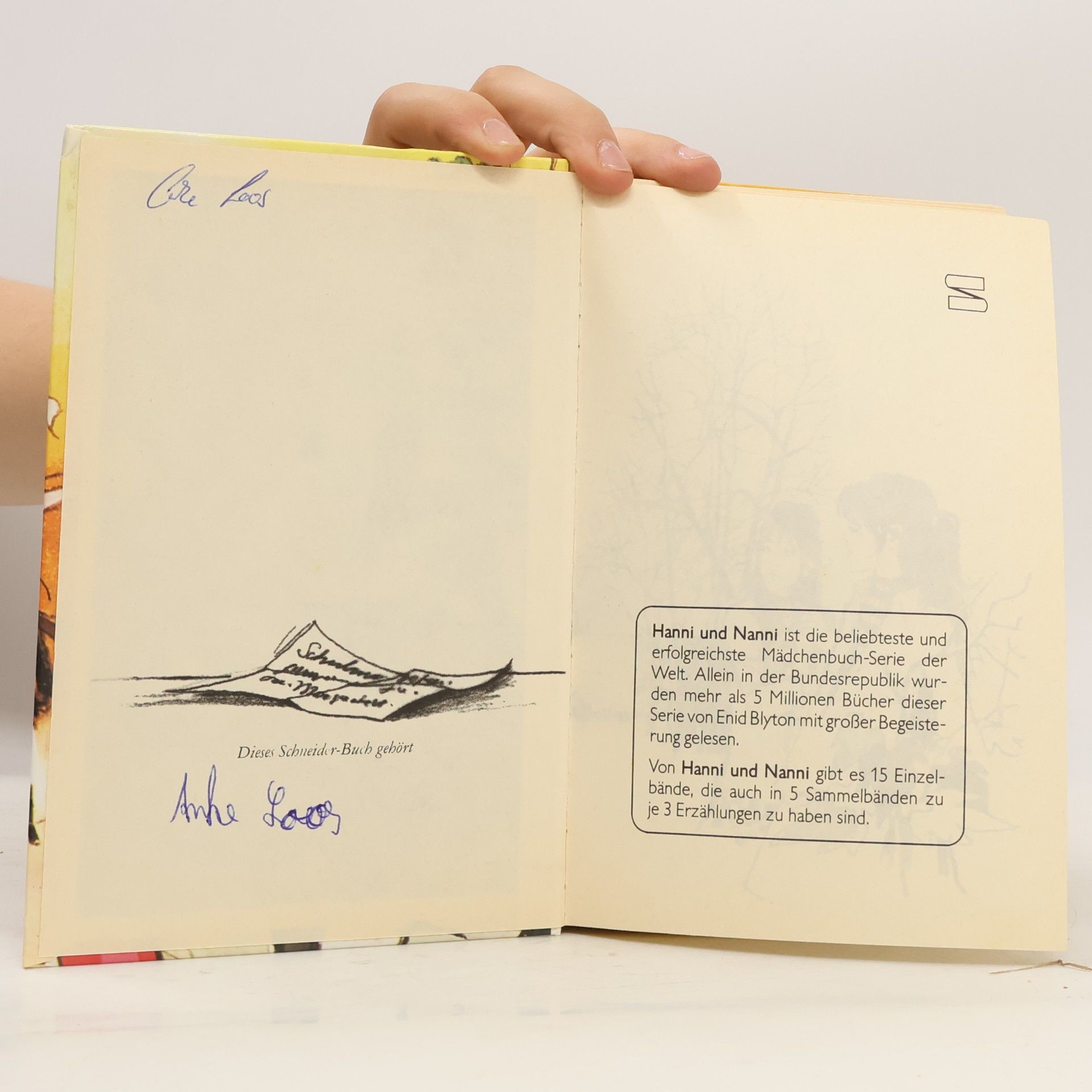 Enid Blyton Hanni und Nanni in tausend Nöten