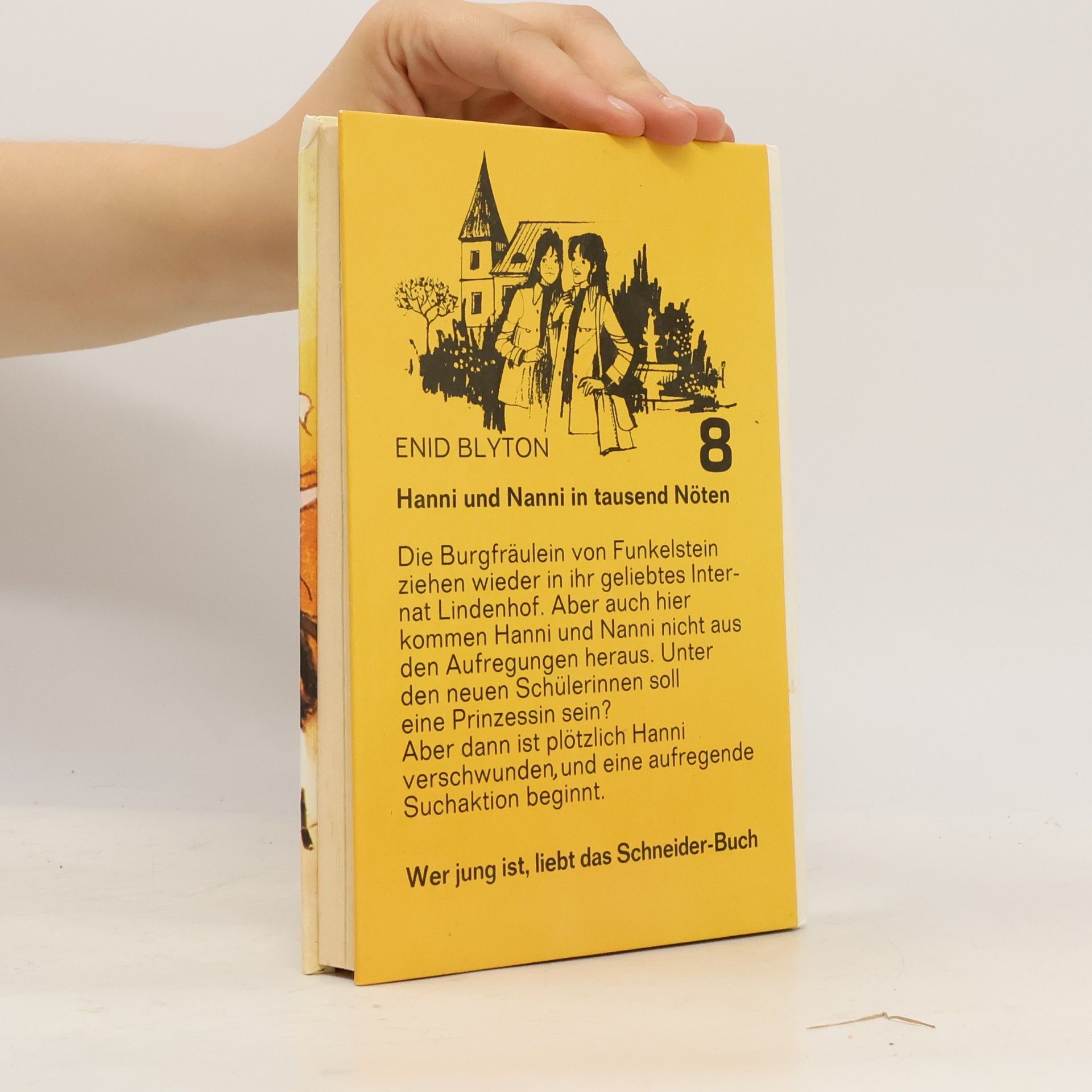 Enid Blyton Hanni und Nanni in tausend Nöten