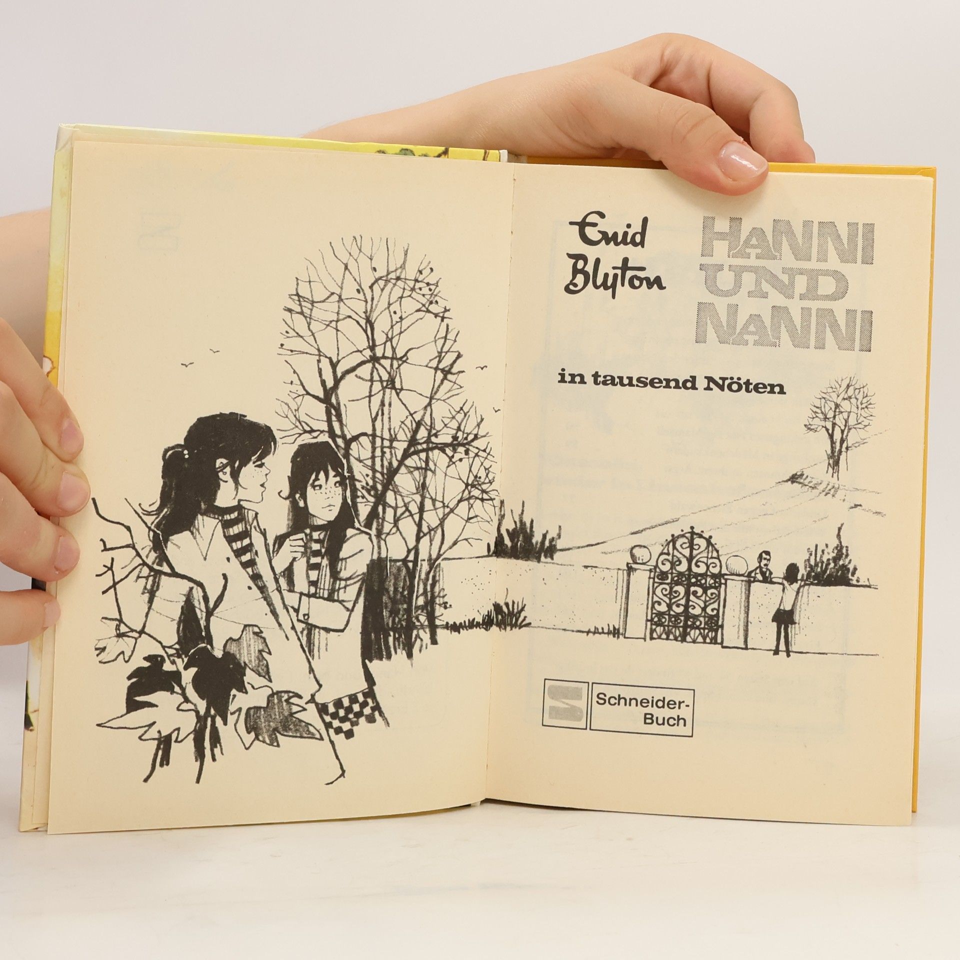 Enid Blyton Hanni und Nanni in tausend Nöten