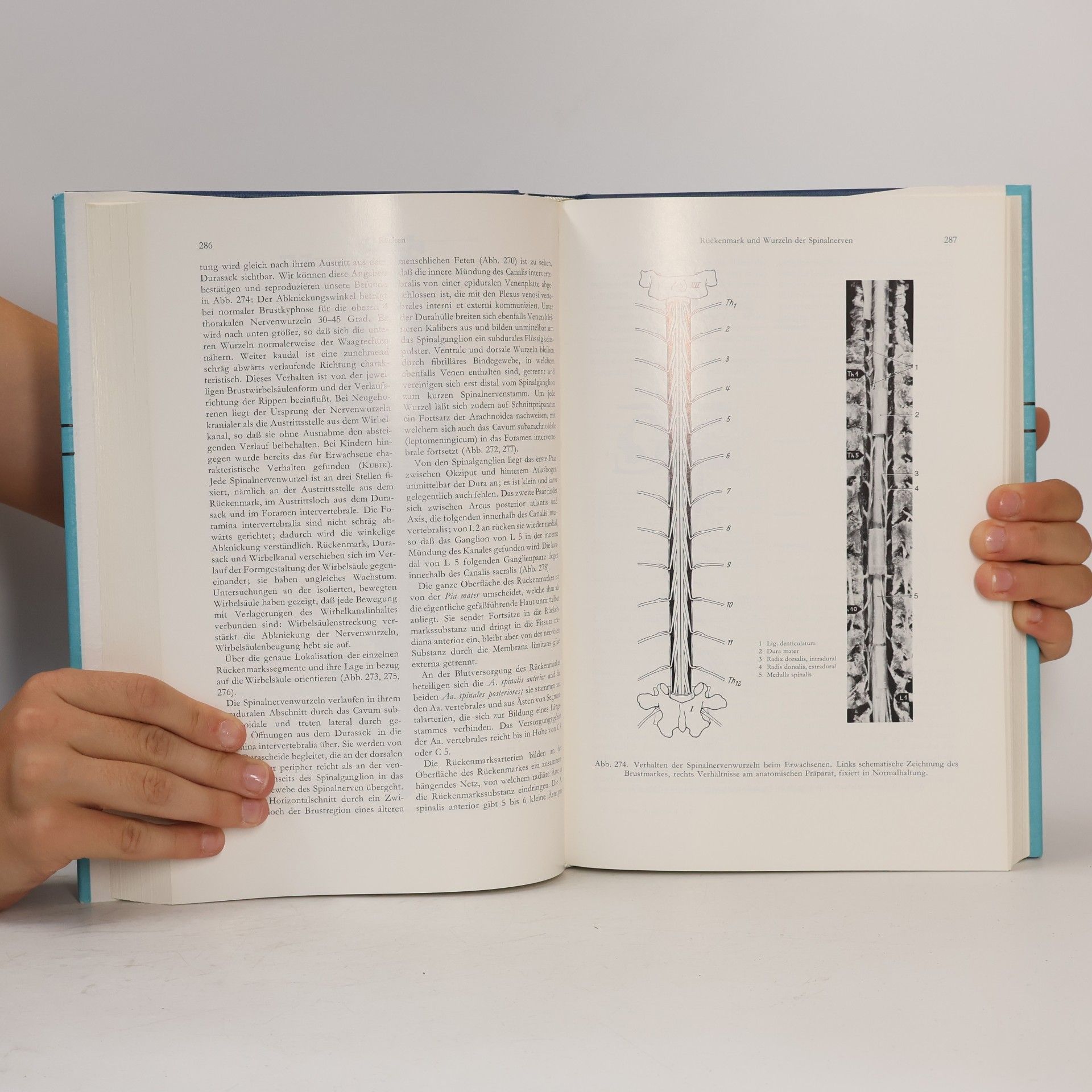 Gian Töndury Angewandte und topographische Anatomie