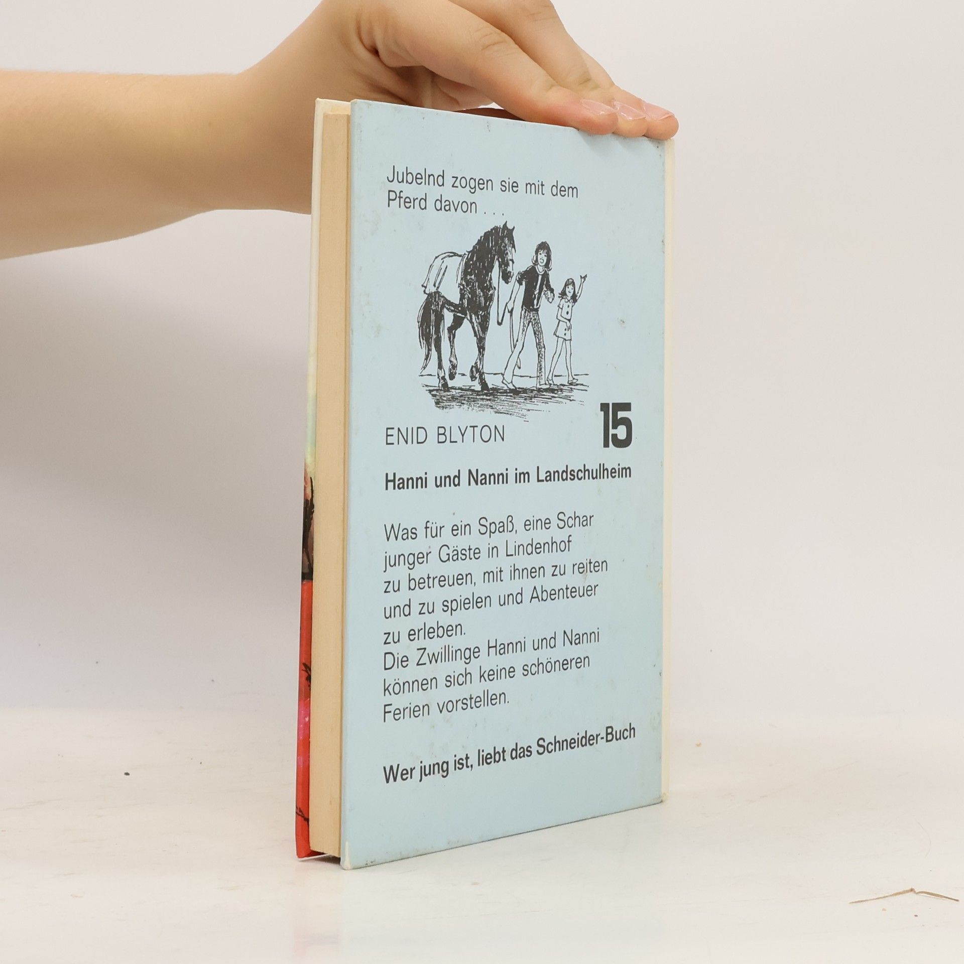 Enid Blyton Hanni und Nanni im Landschulheim