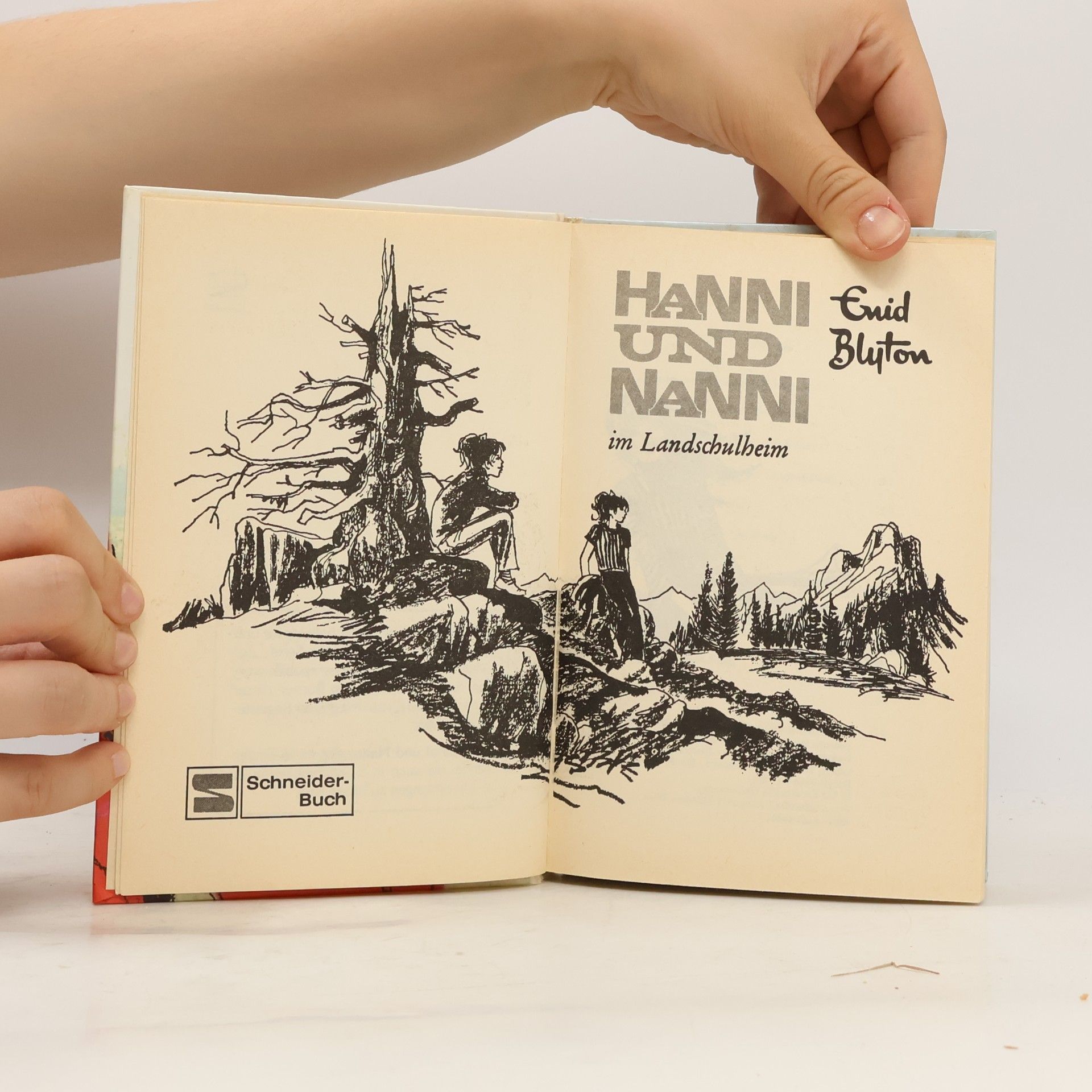 Enid Blyton Hanni und Nanni im Landschulheim