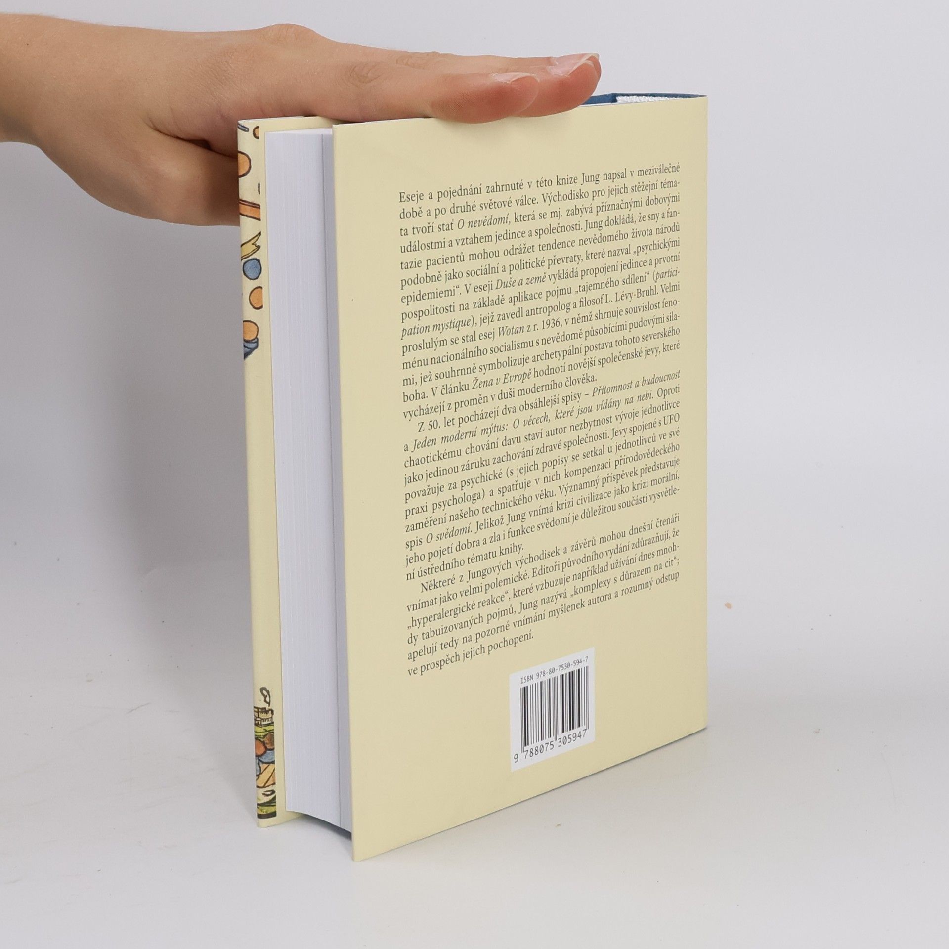 Carl Jung Civilizace na předělu