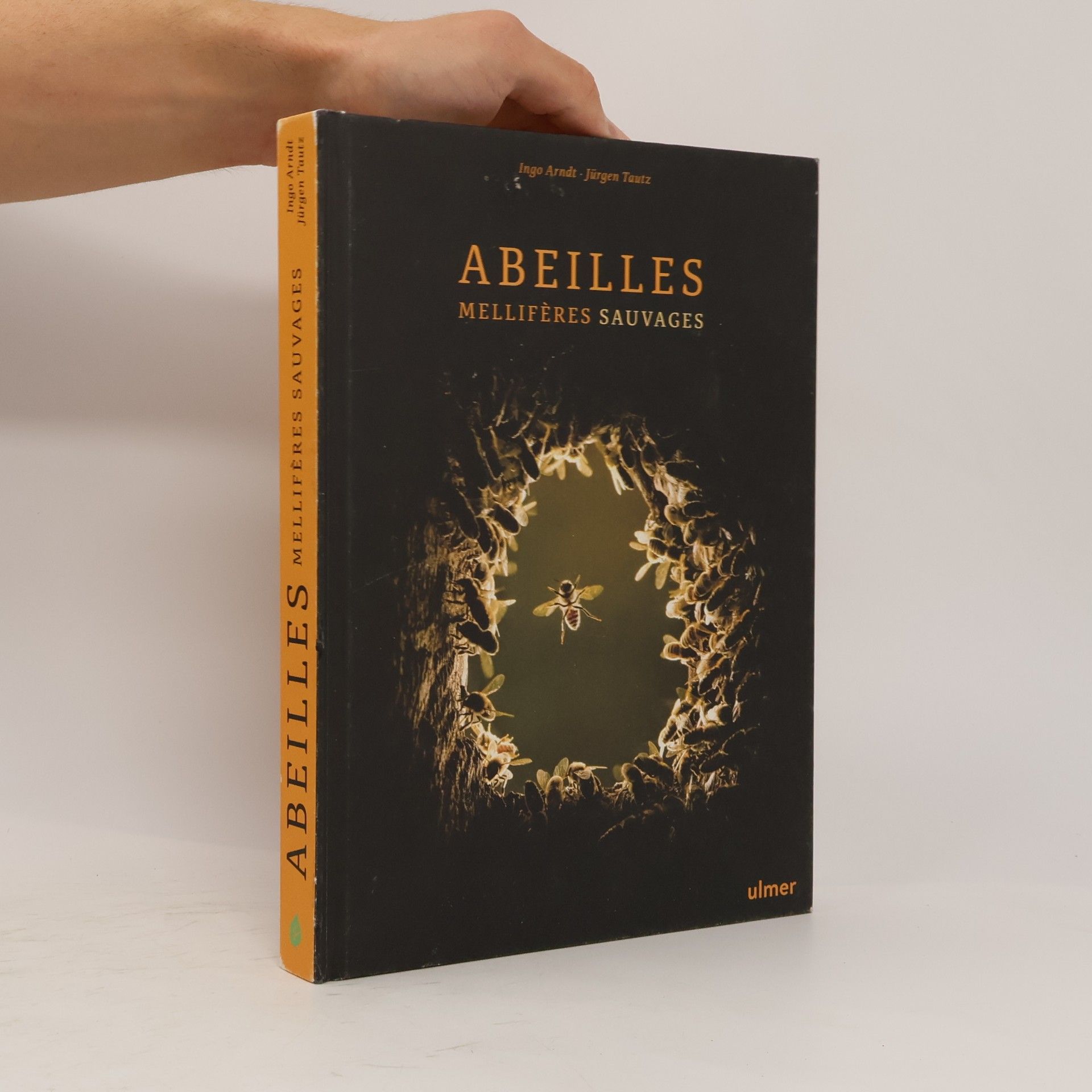 Abeilles mellifères sauvages