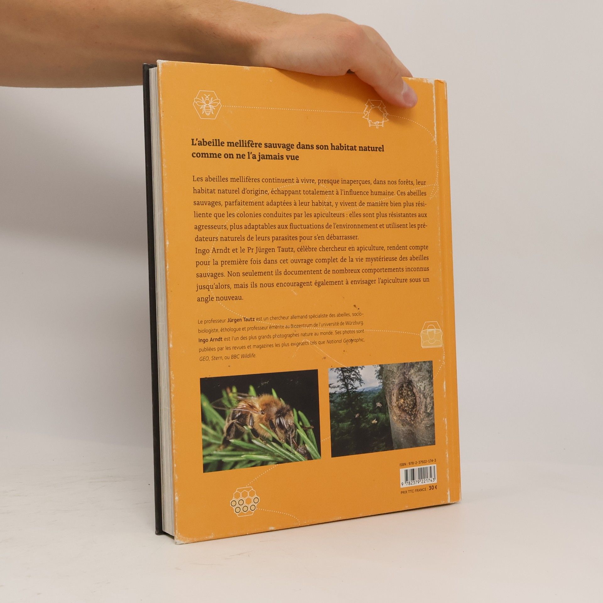Ingo Arndt Abeilles mellifères sauvages