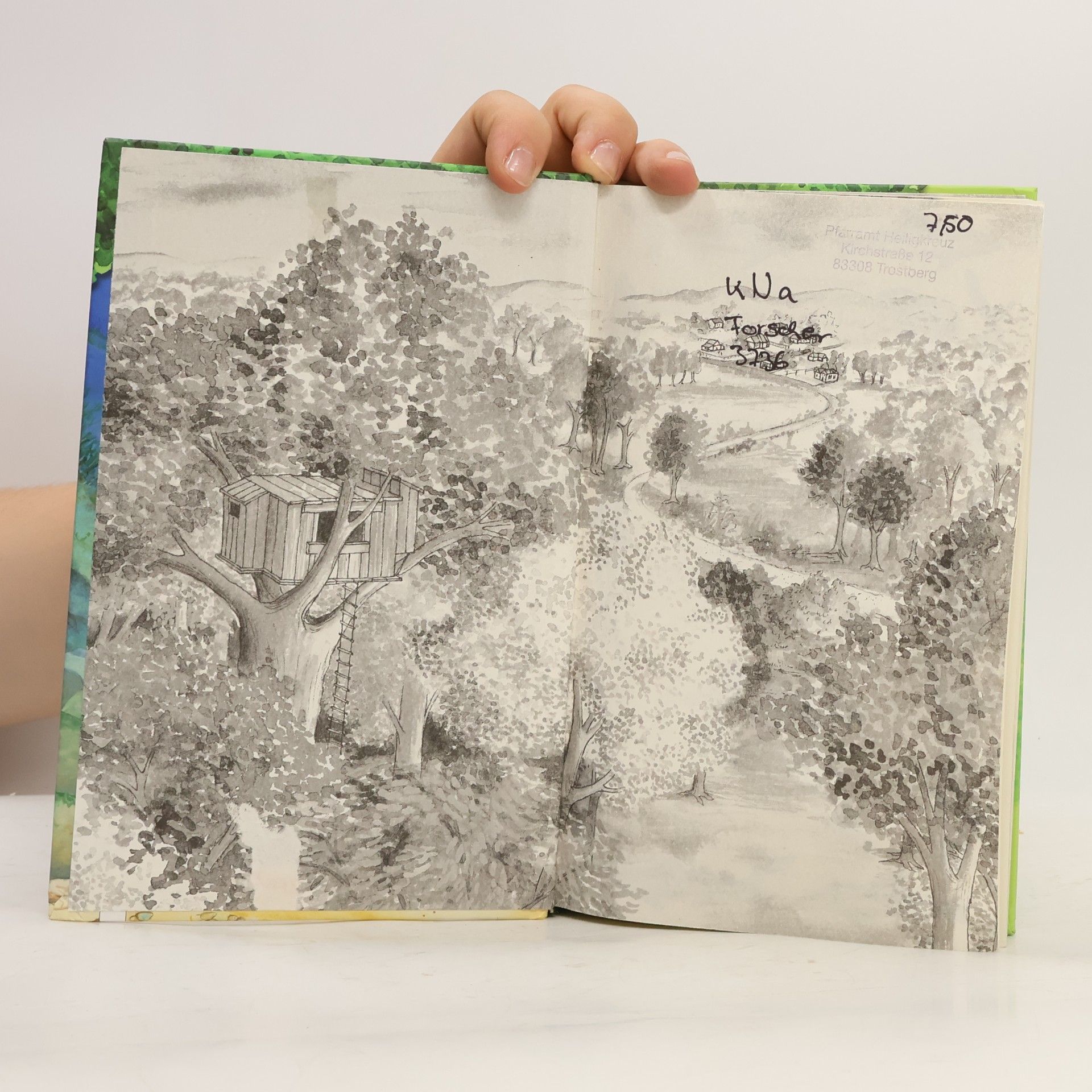Mary Pope Osborne Forscherhandbuch Delfine und Haie