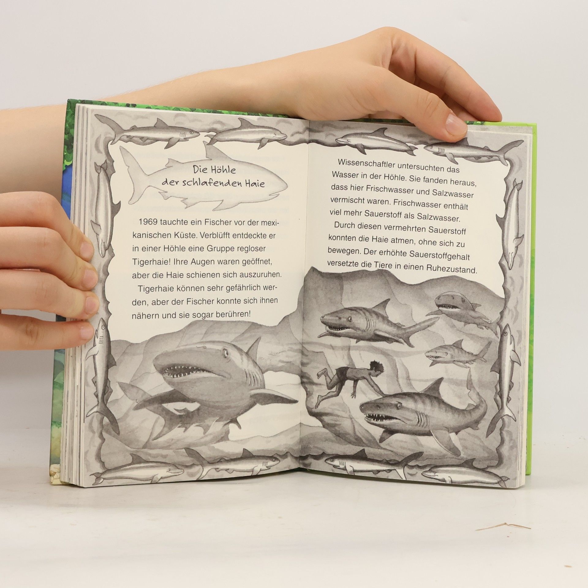 Mary Pope Osborne Forscherhandbuch Delfine und Haie