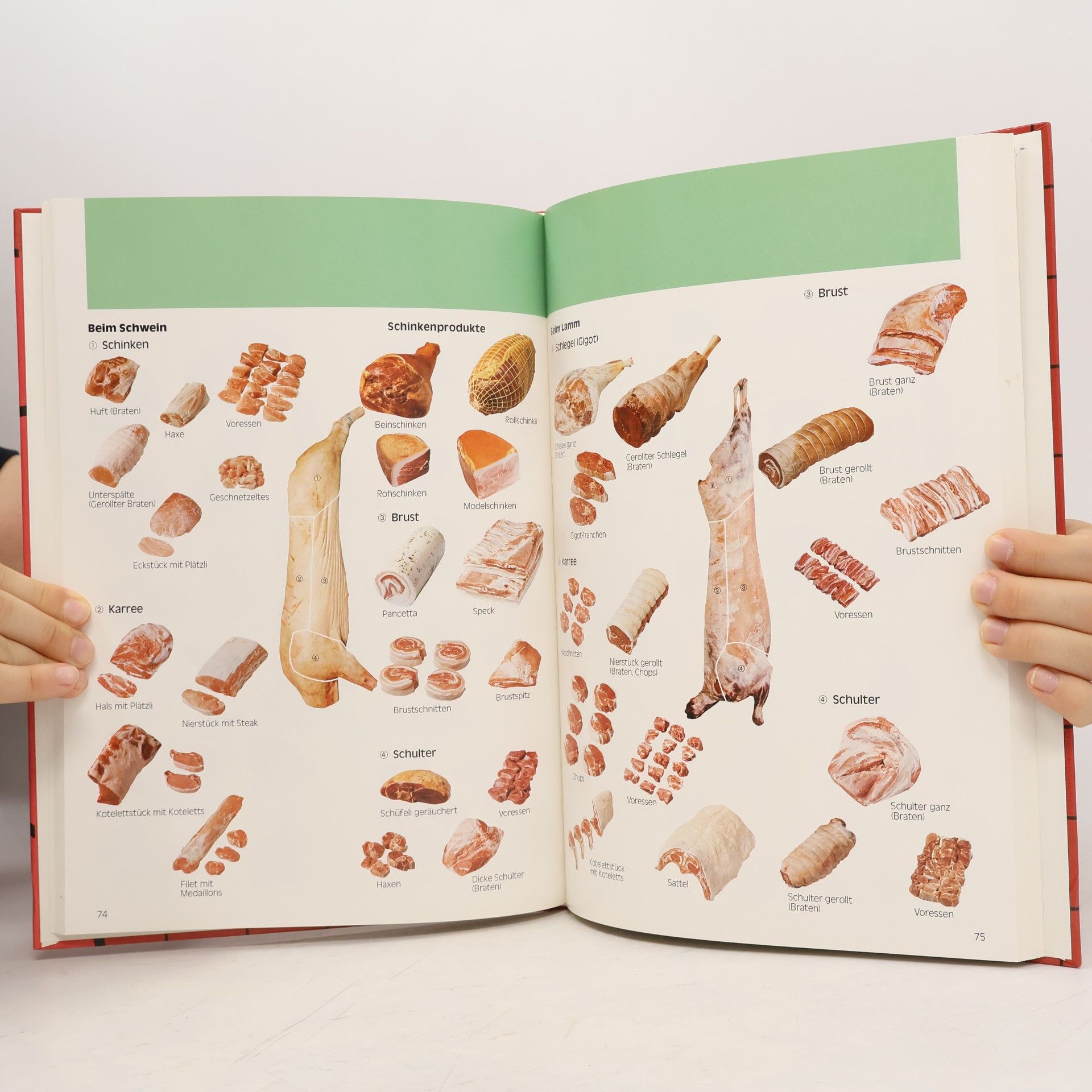 Collectif d'auteurs Stichwort Fleisch