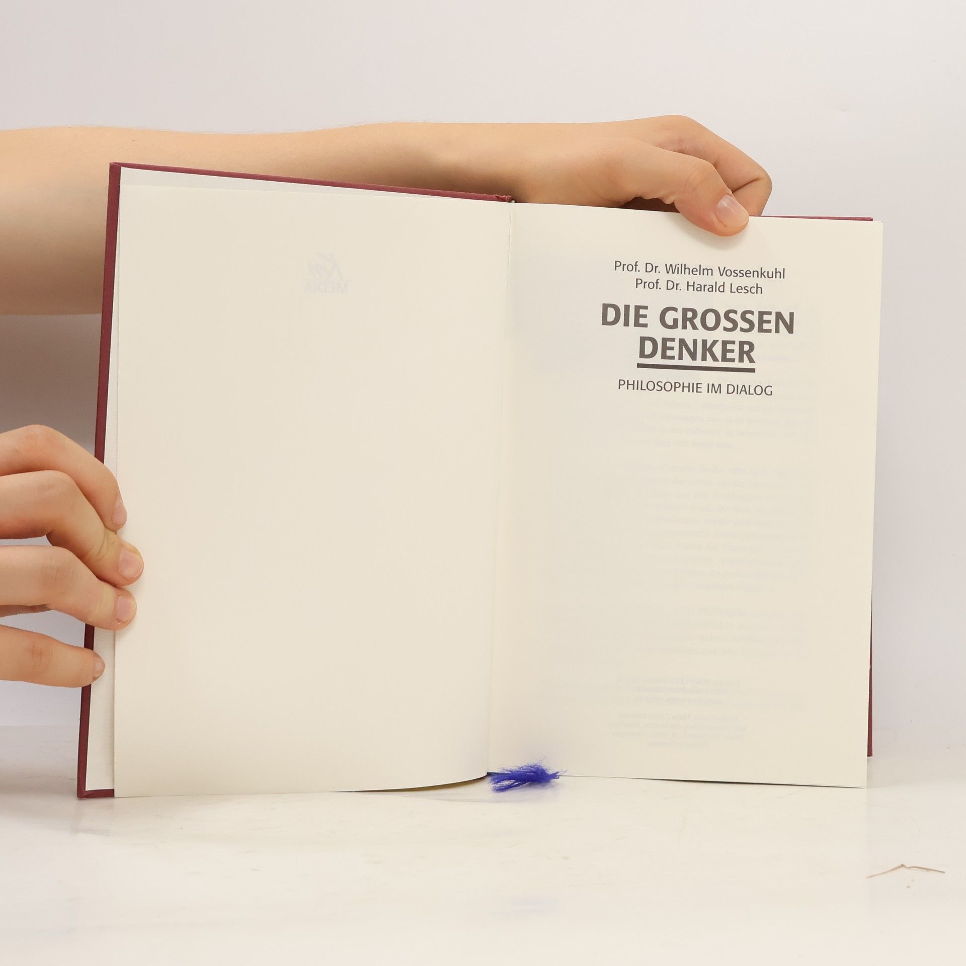 Wilhelm Vossenkuhl Die grossen Denker