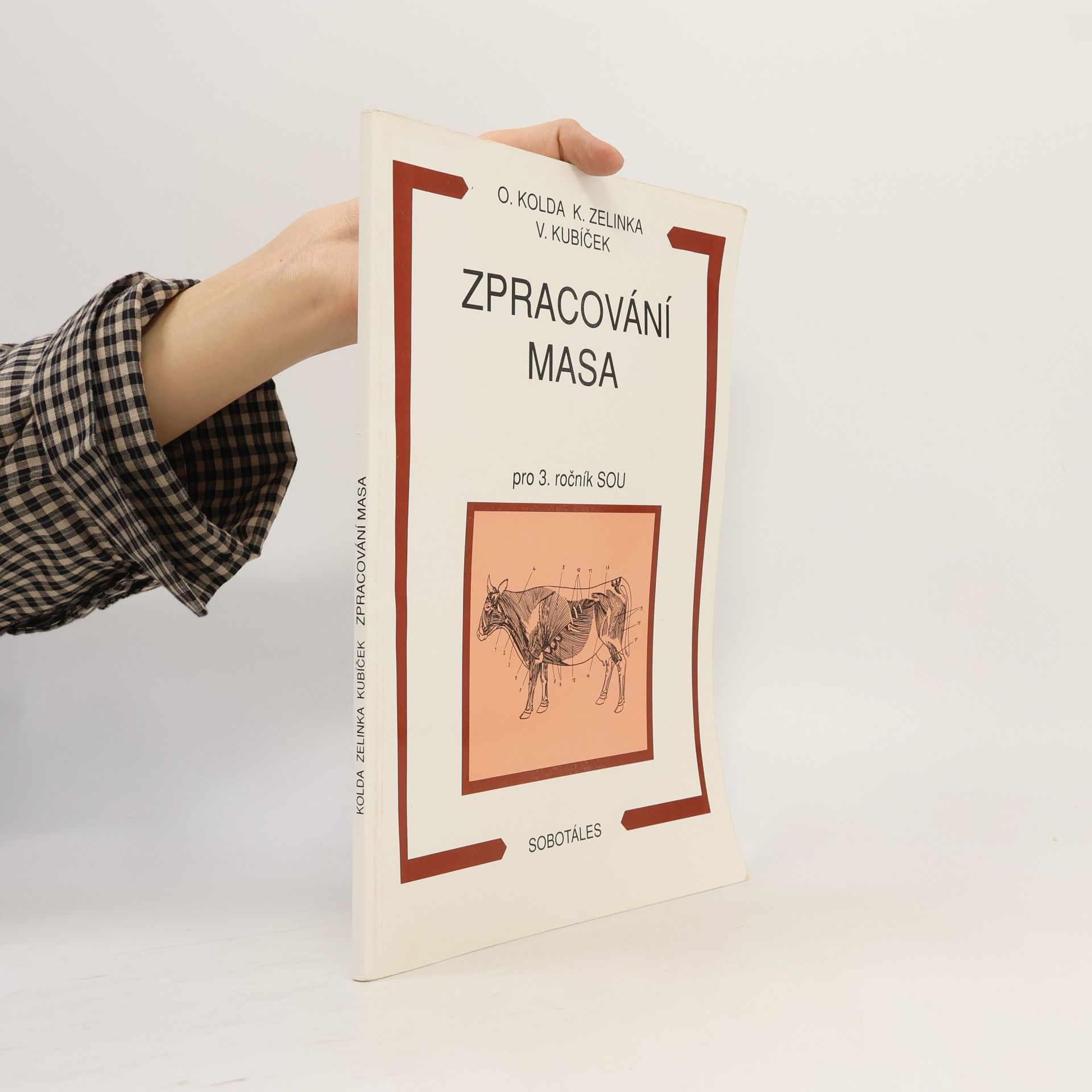 Zpracování masa pro 3. ročník SOU