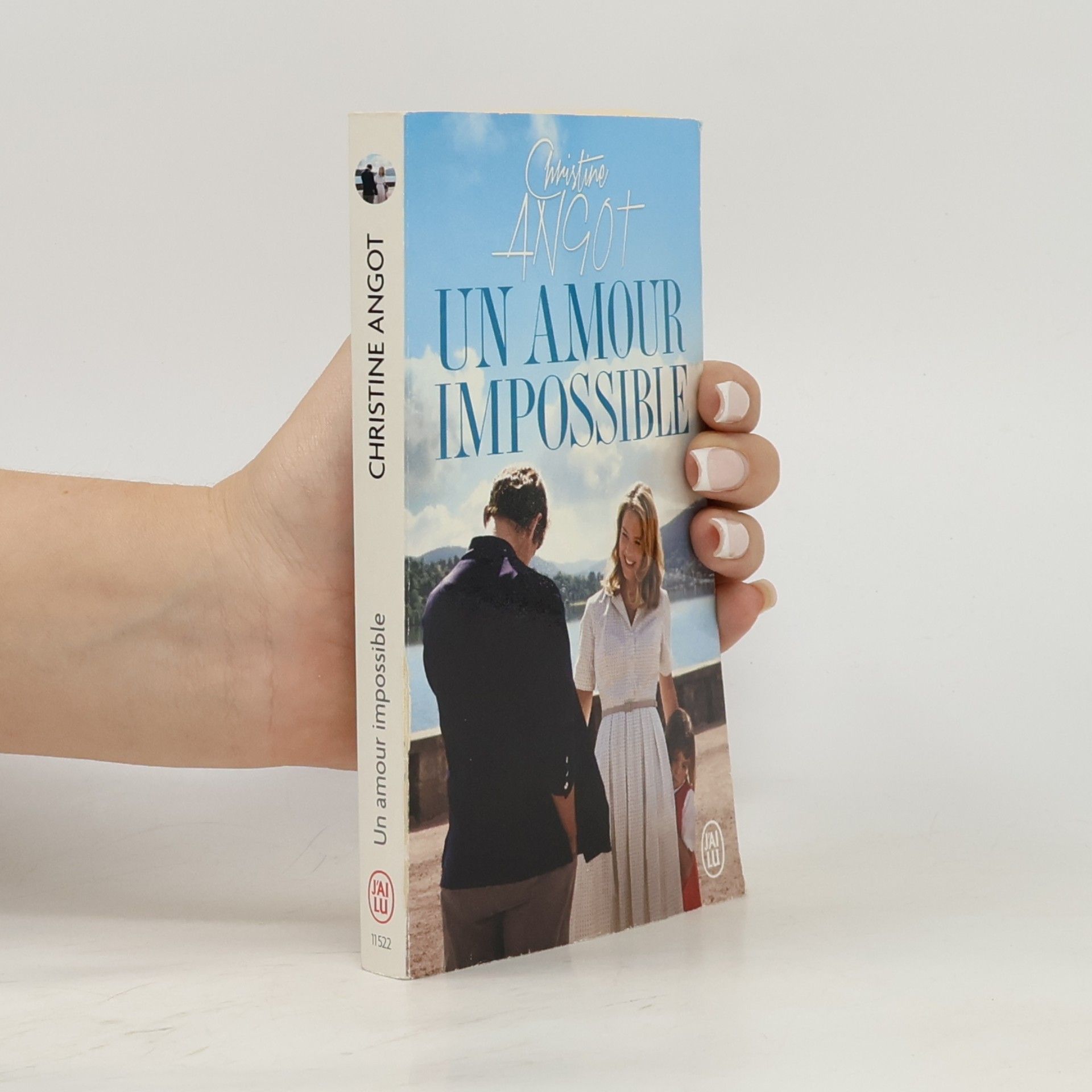 Christine Angot Un amour impossible