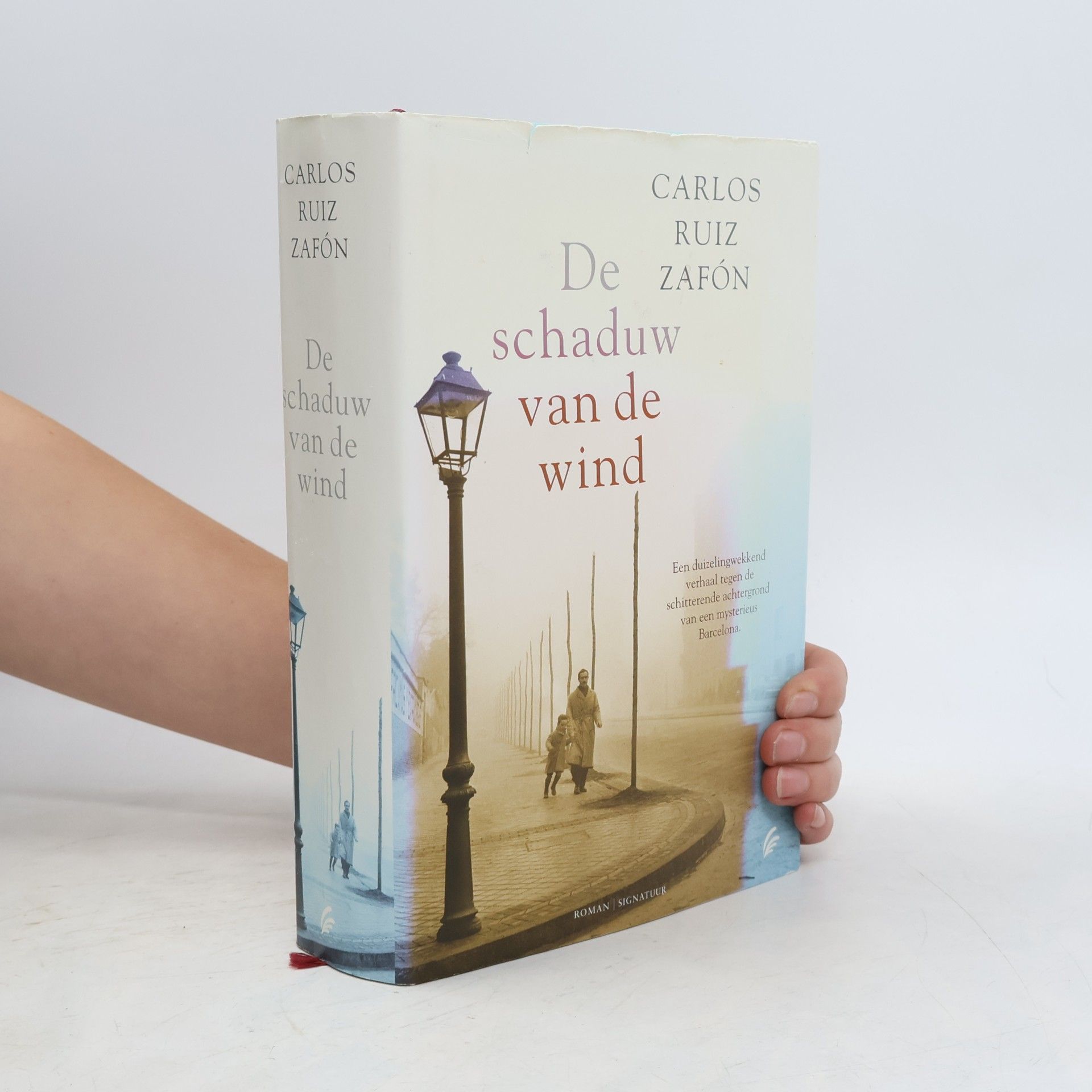 Carlos Ruiz Safon De schaduw van de wind