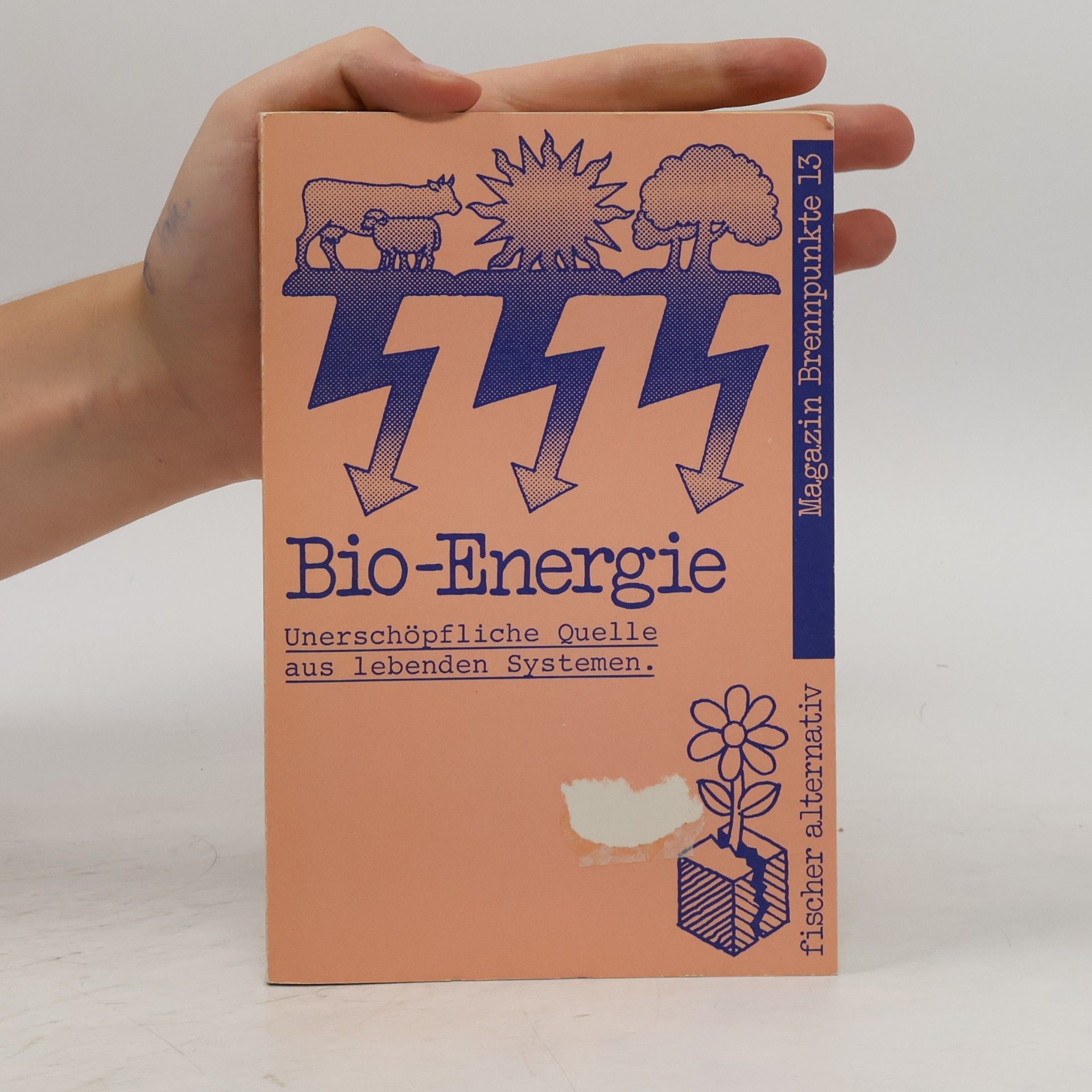 Rudolf Brun Bio-Energie