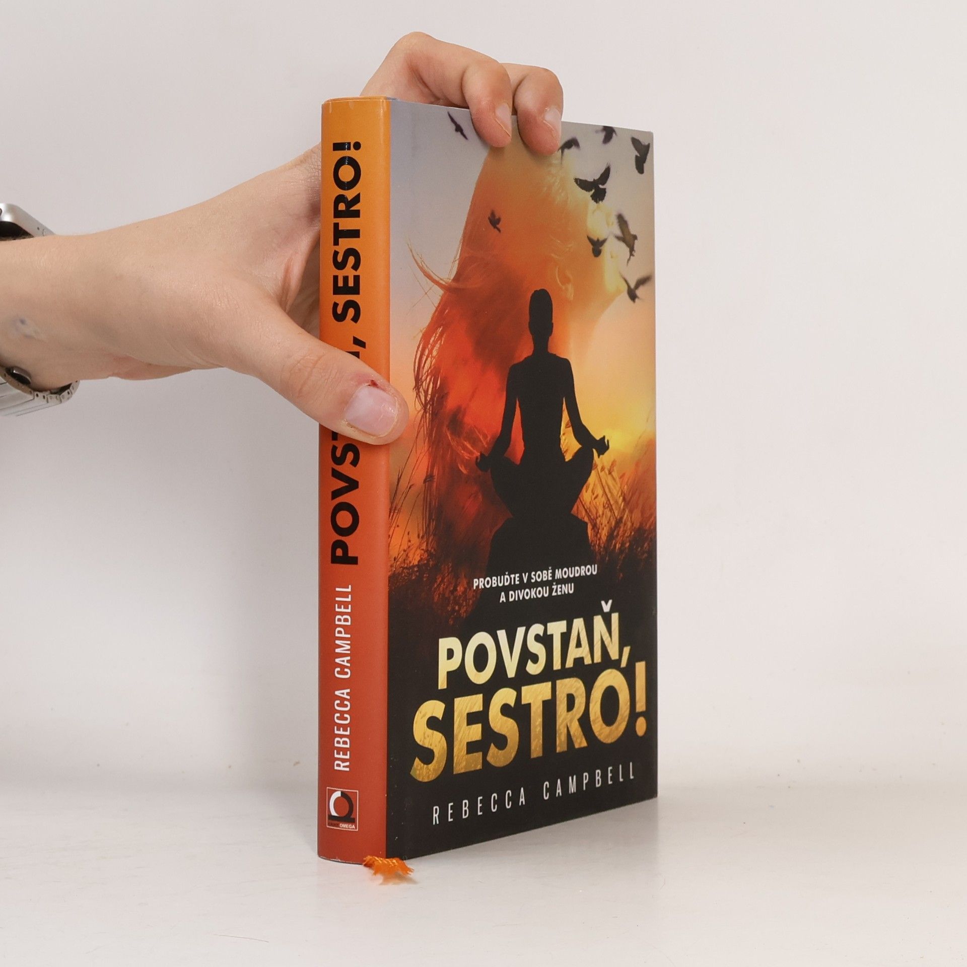 Rebecca Campbell Povstaň, sestro!