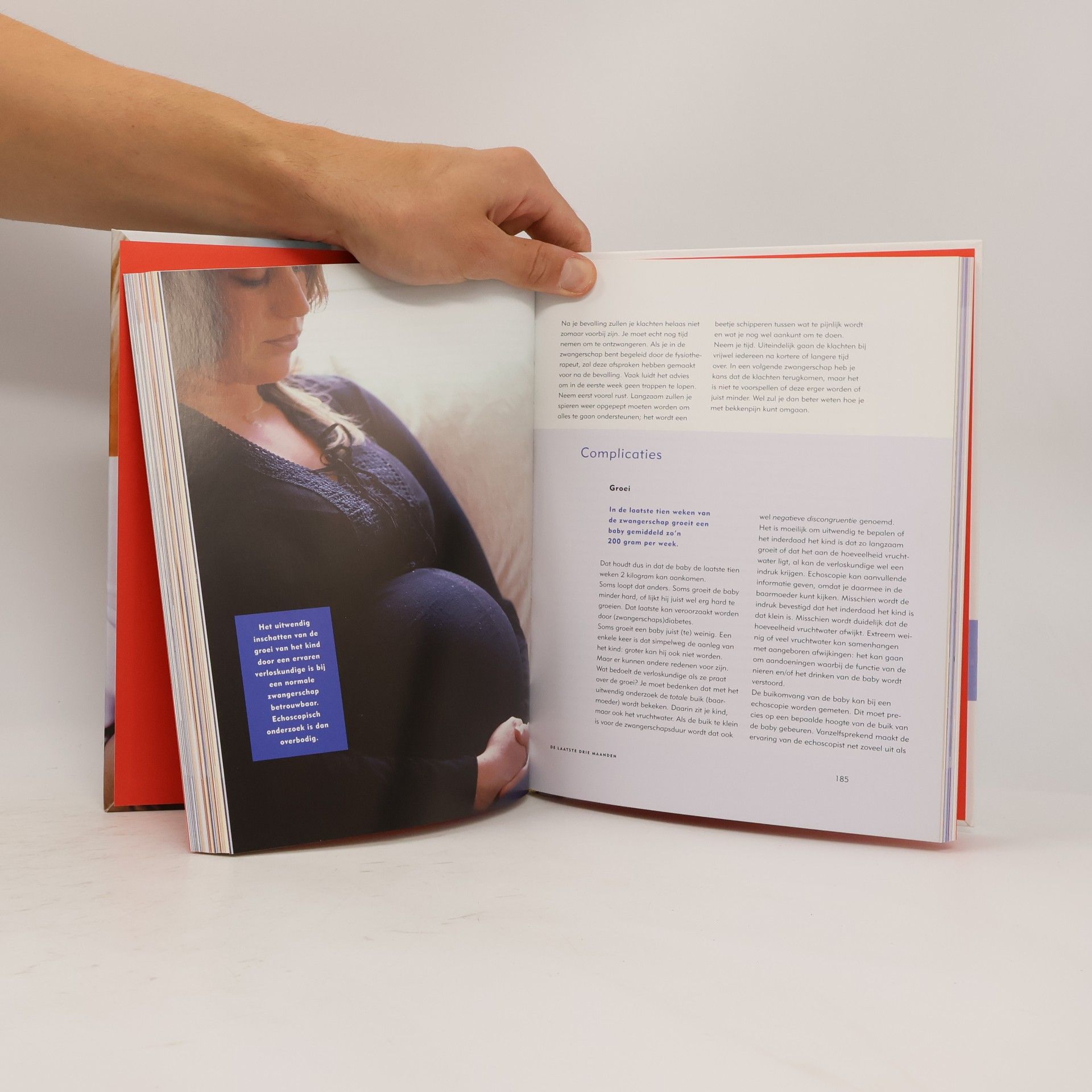 Anja de Grient Dreux Zwanger / druk 11