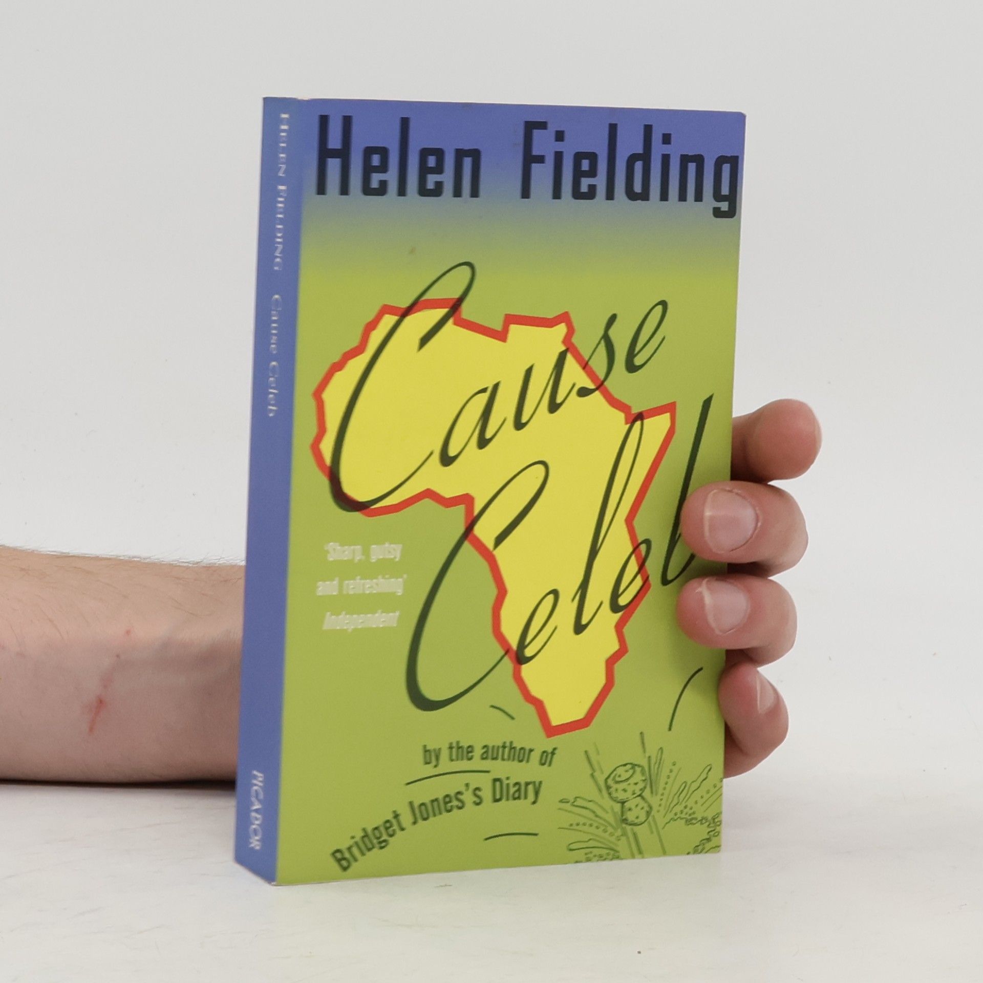 Helen Fielding Cause Celeb