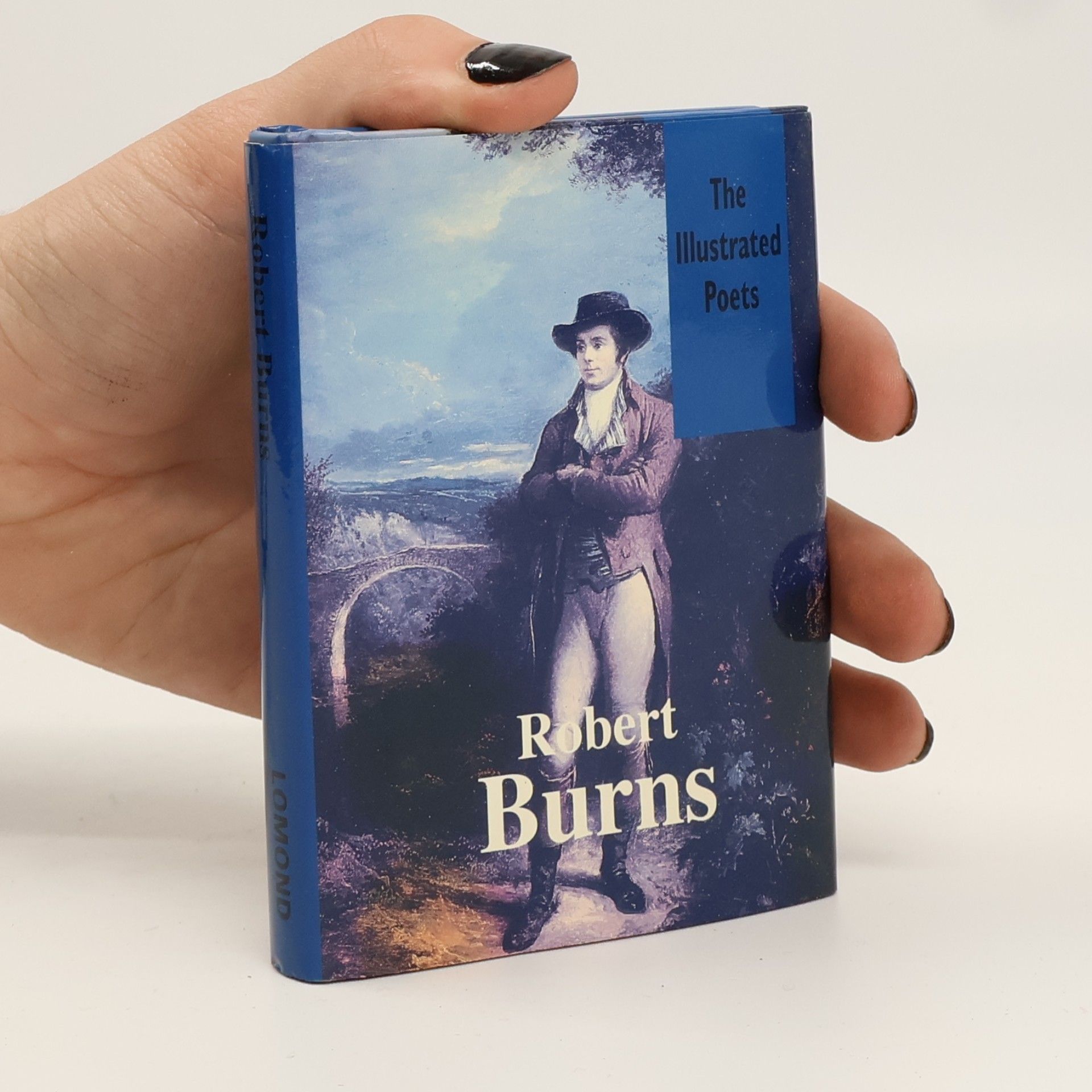 Kolektiv autorů The Illustrated Poets: Robert Burns