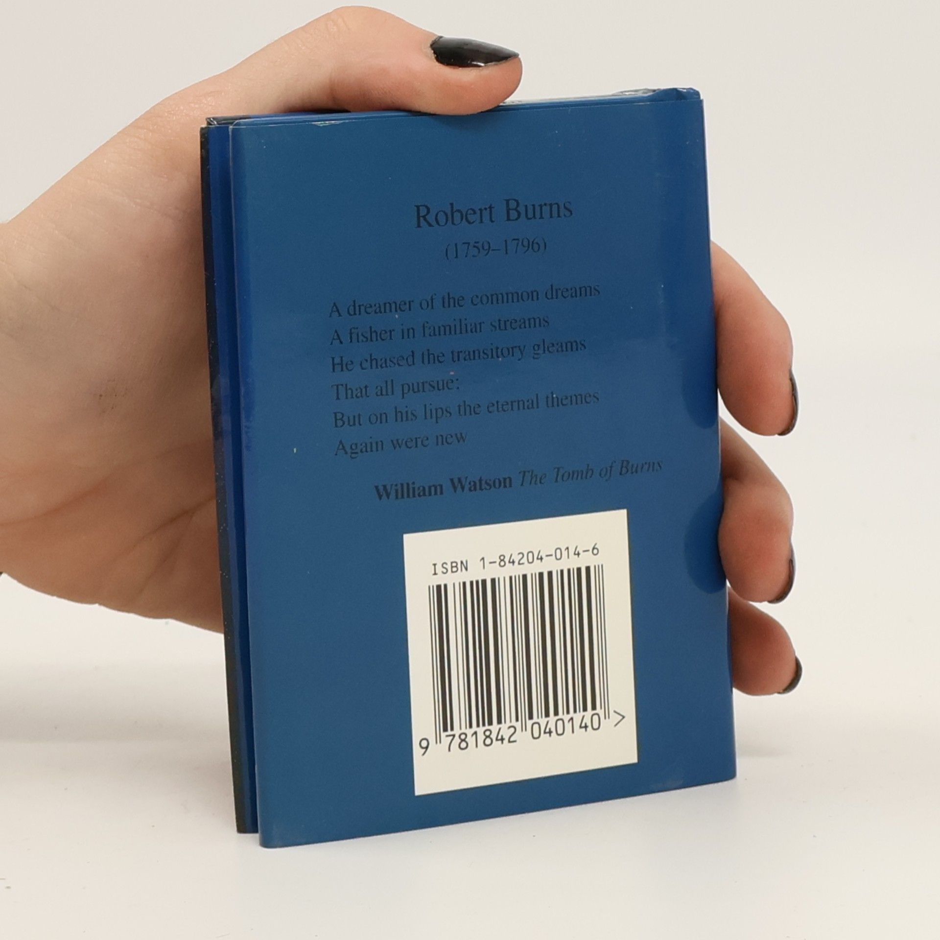 Kolektiv autorů The Illustrated Poets: Robert Burns