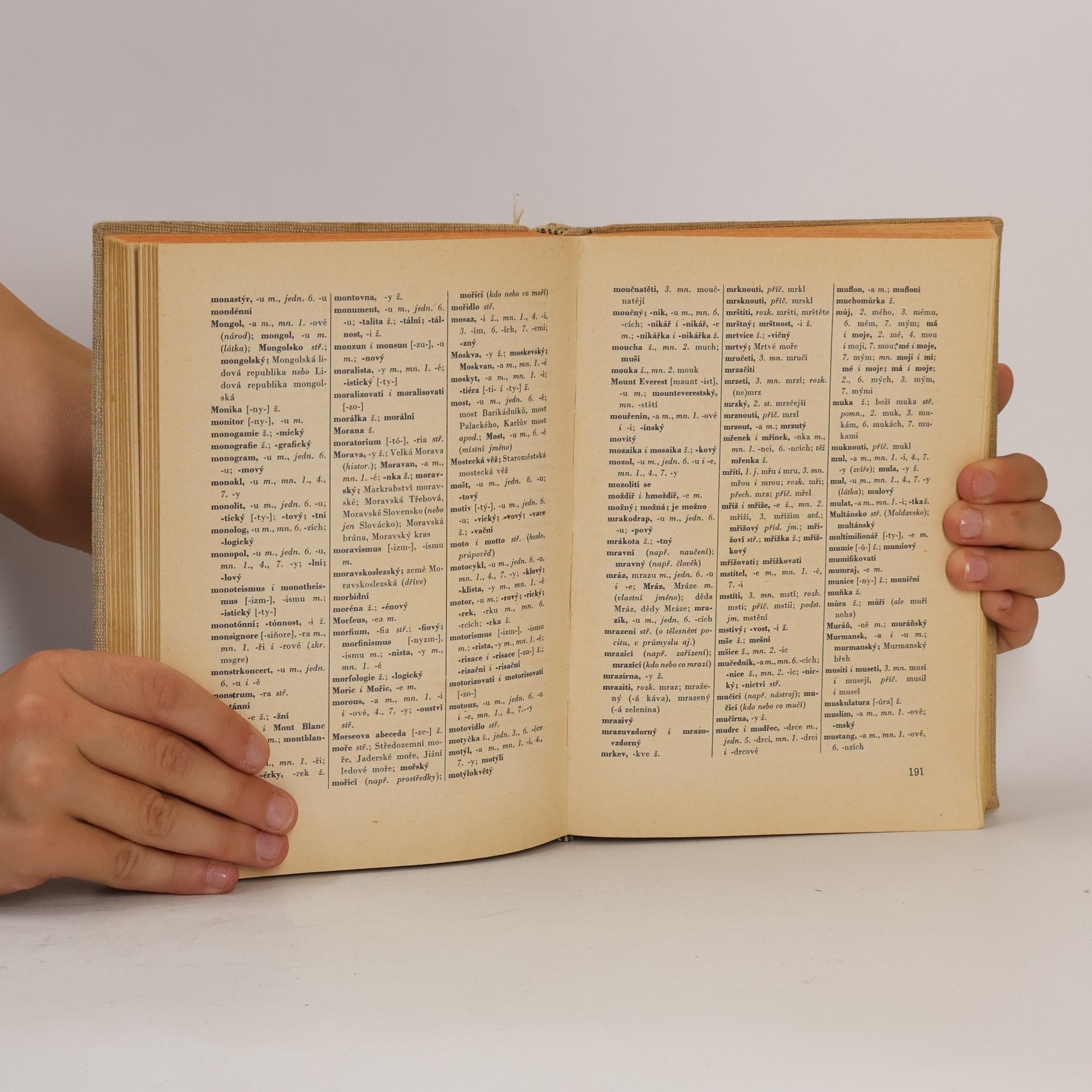 Various authors Pravidla českého pravopisu