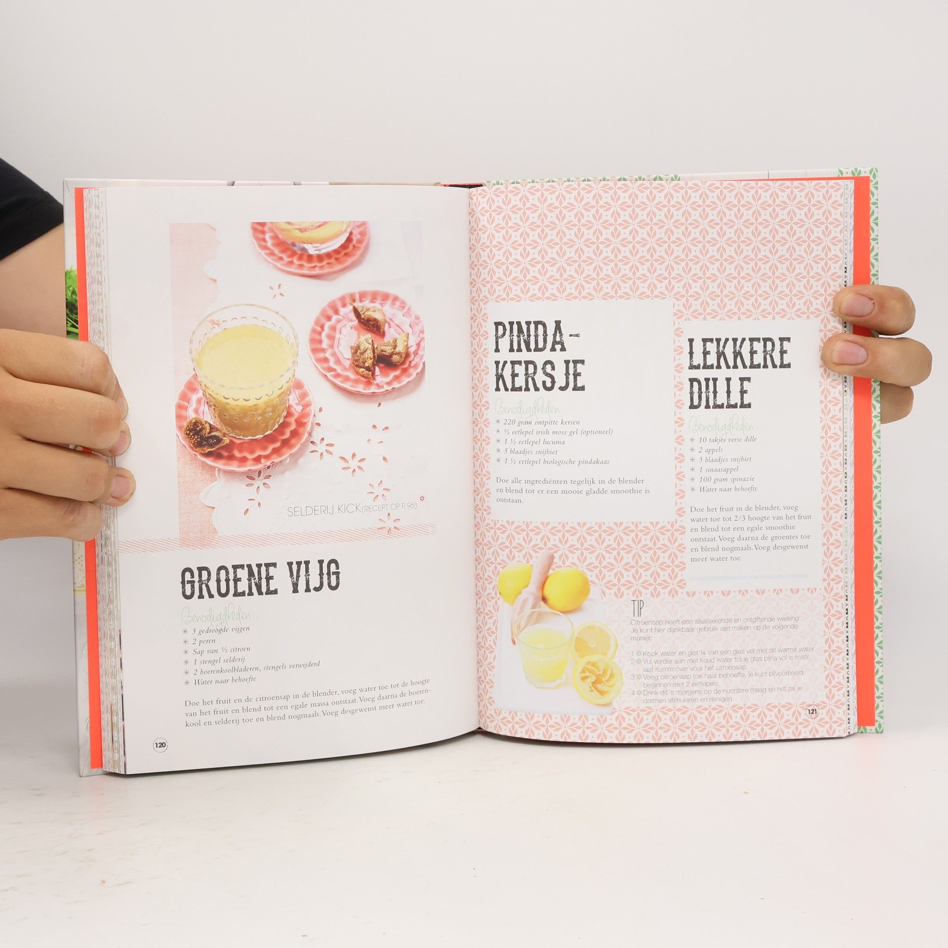 Marjolijn van der Velde 70 Groene Smoothies