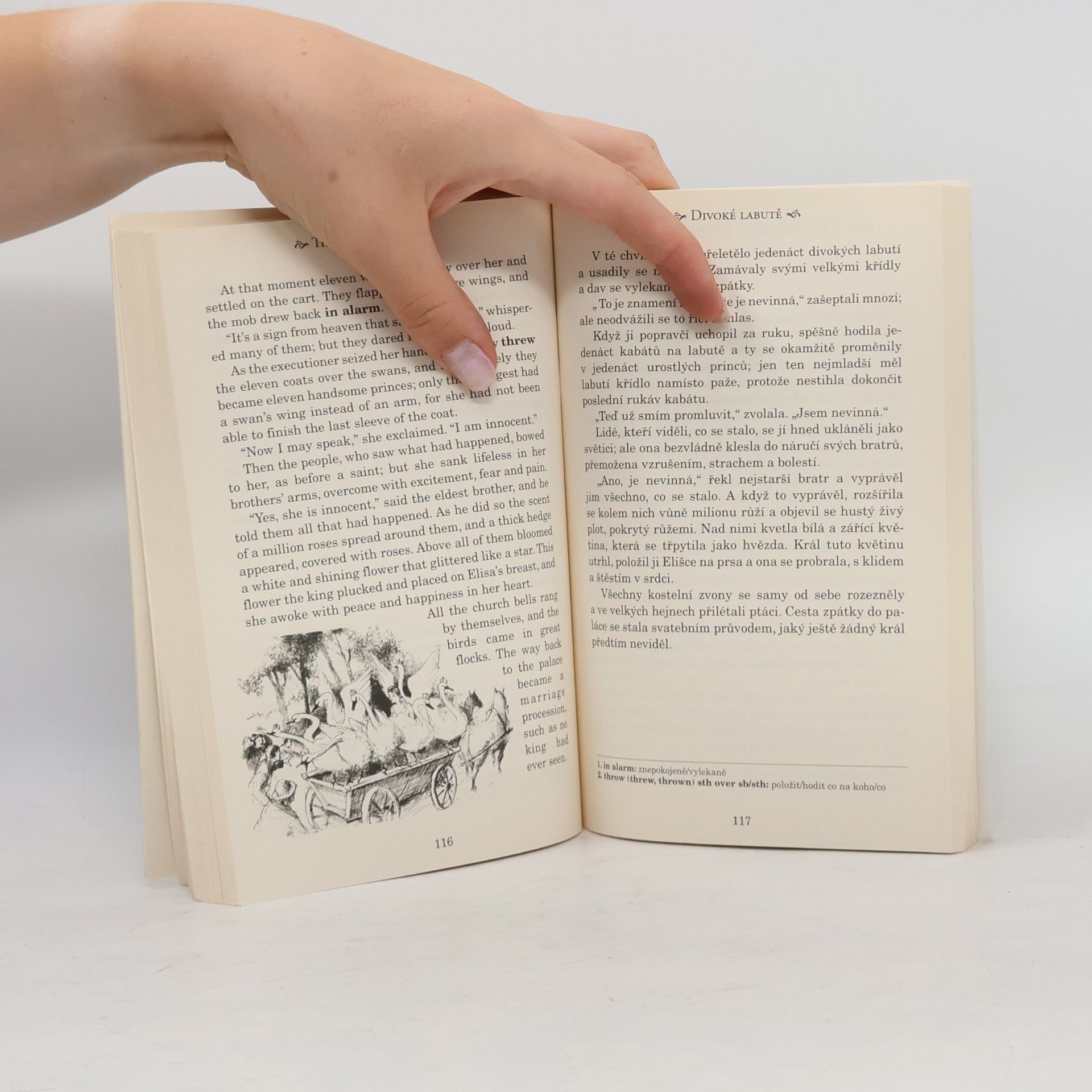 Ashley Davies Fairy tales. Pohádky