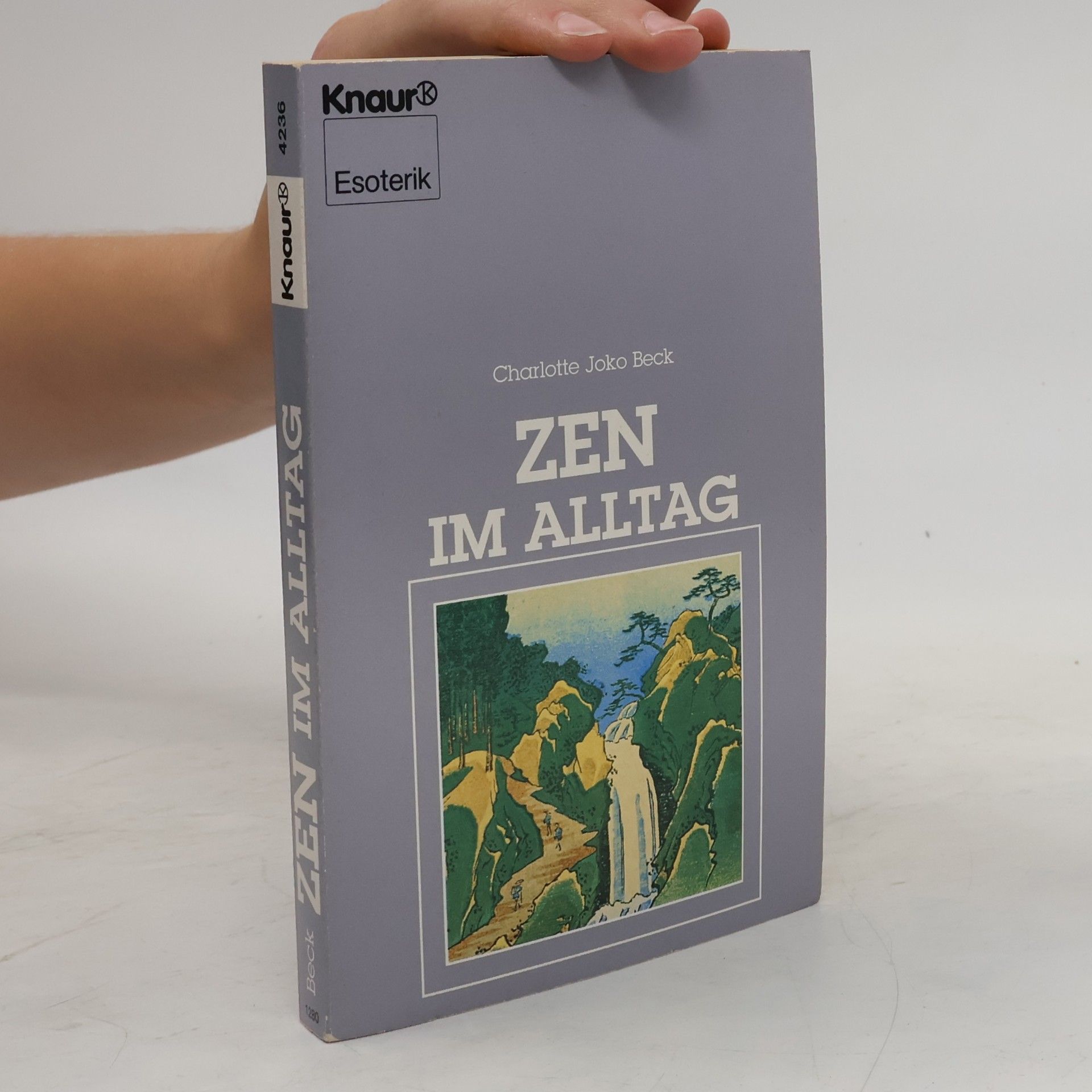 Charlotte Joko Beck Zen im Alltag