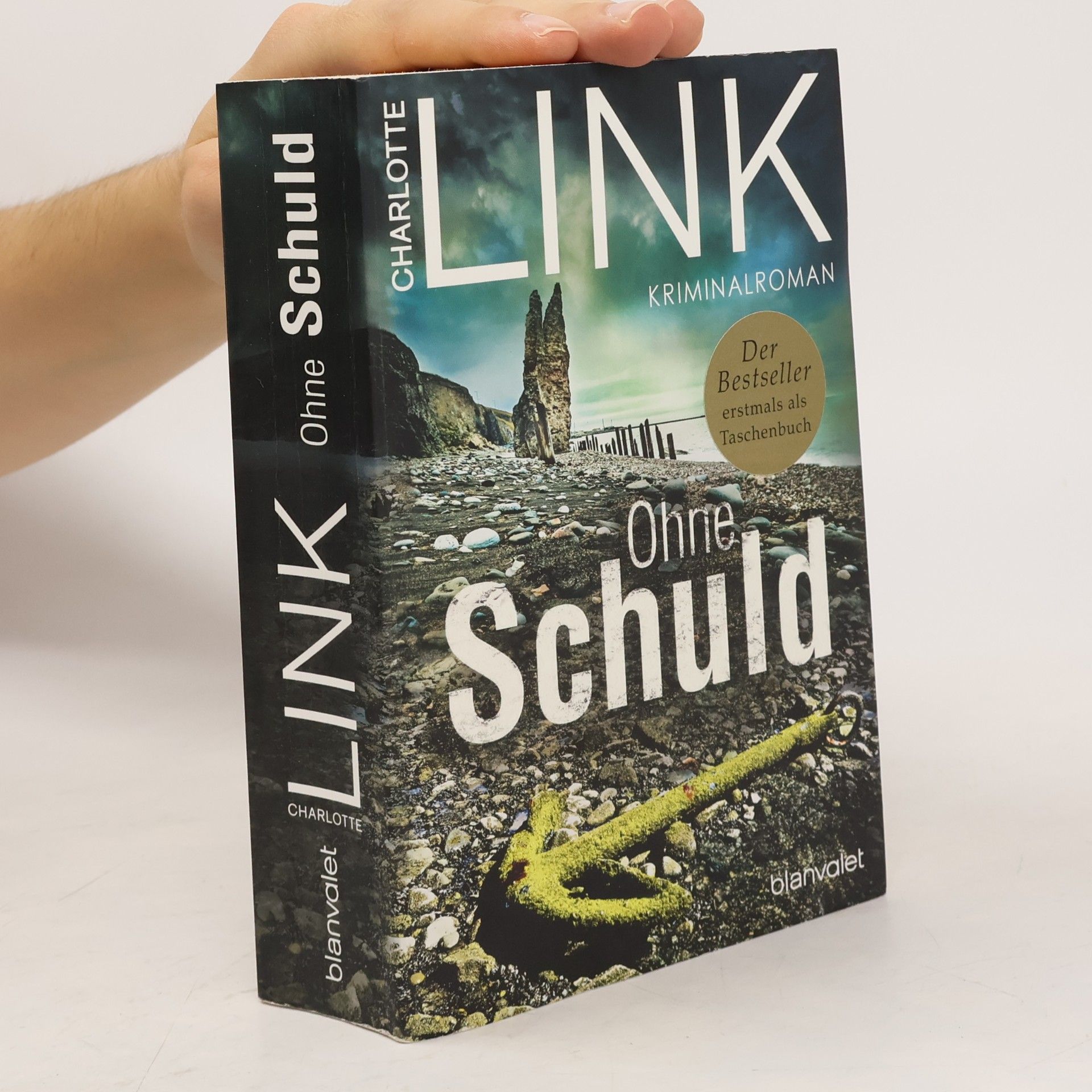 Charlotte Link Ohne Schuld