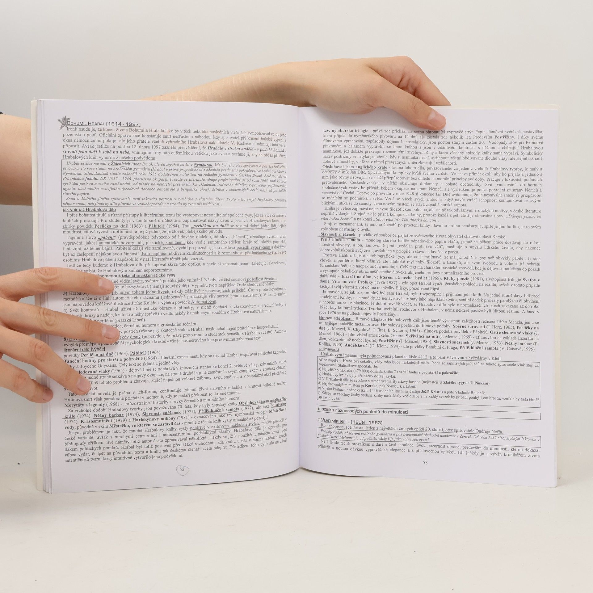 Vladimír Prokop Přehled české literatury 20. století