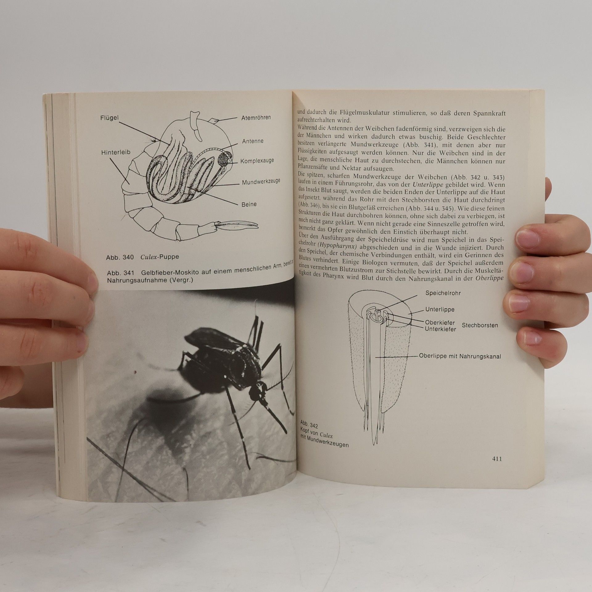 Donald G. Mackean Einführung in die Biologie