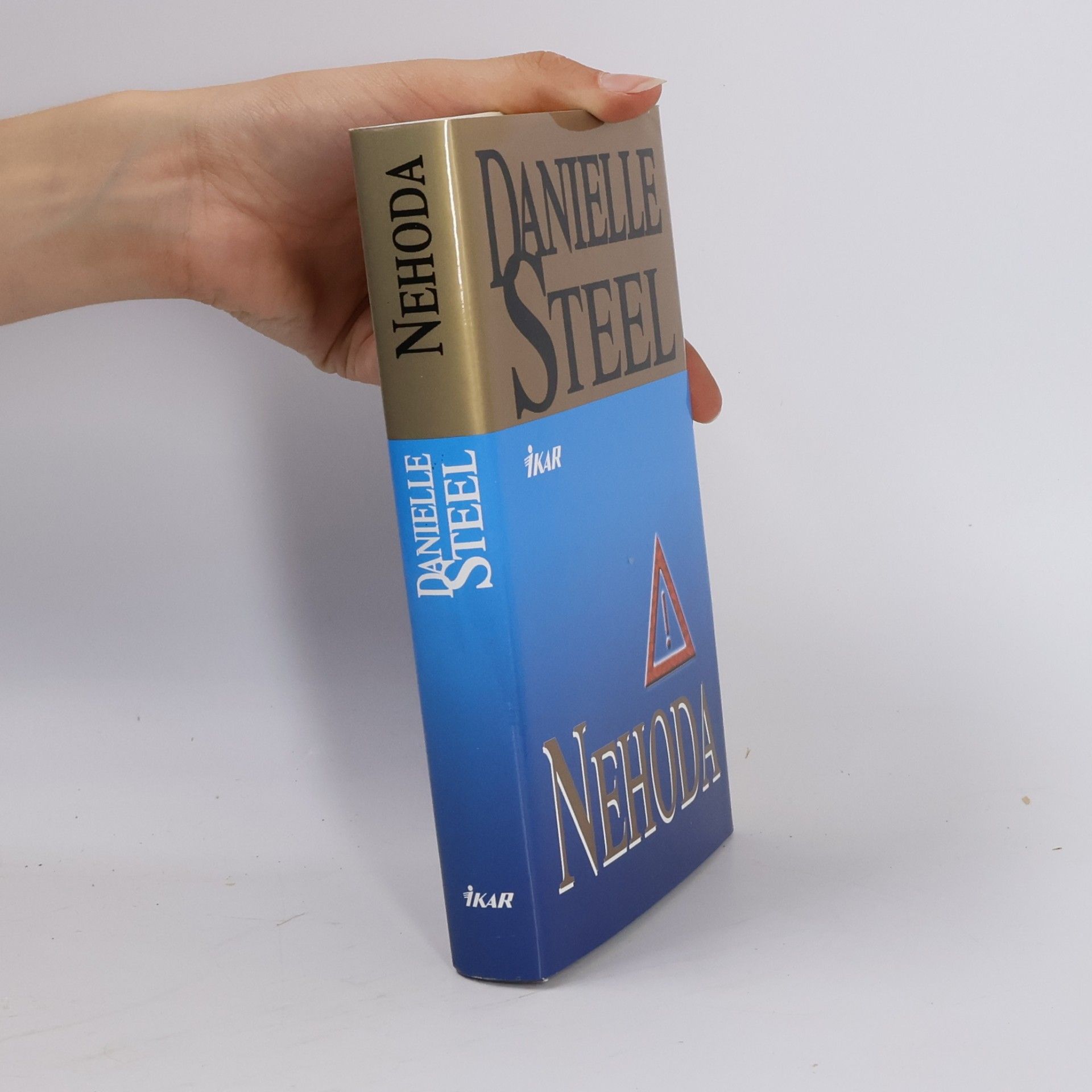 Danielle Steel Nehoda