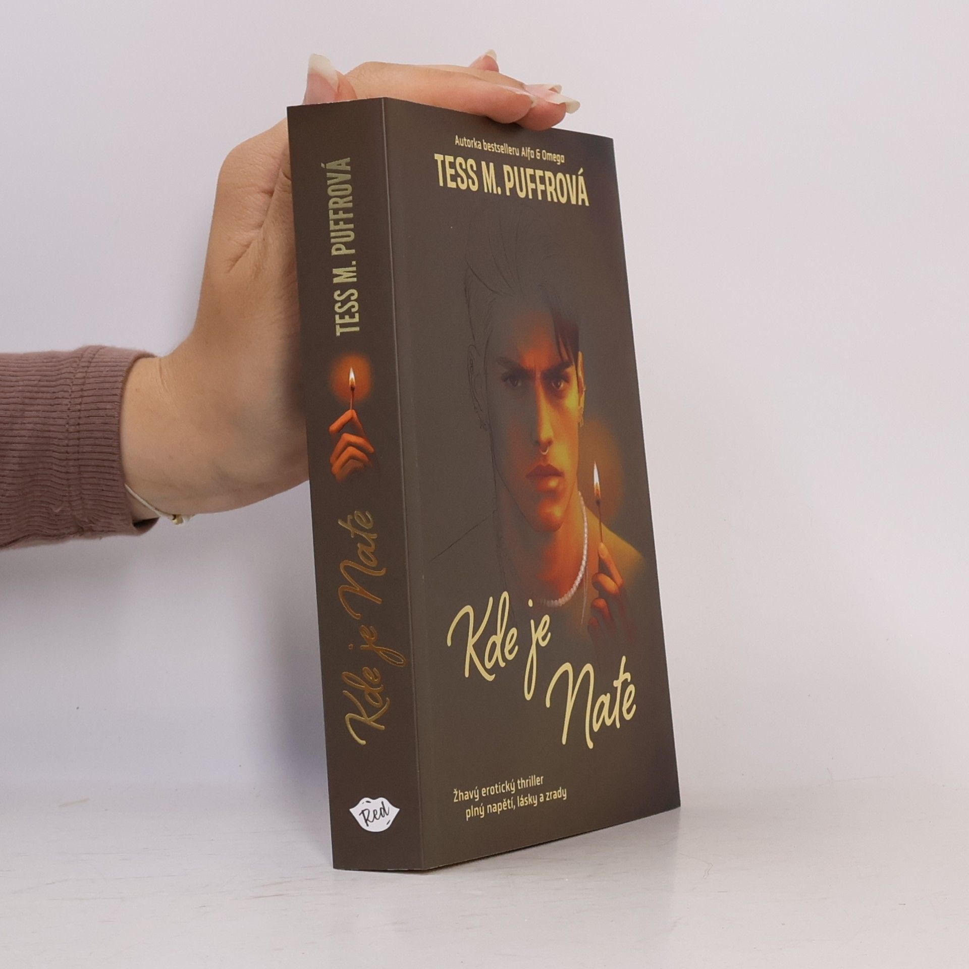 Tess M. Puffrová Kde je Nate