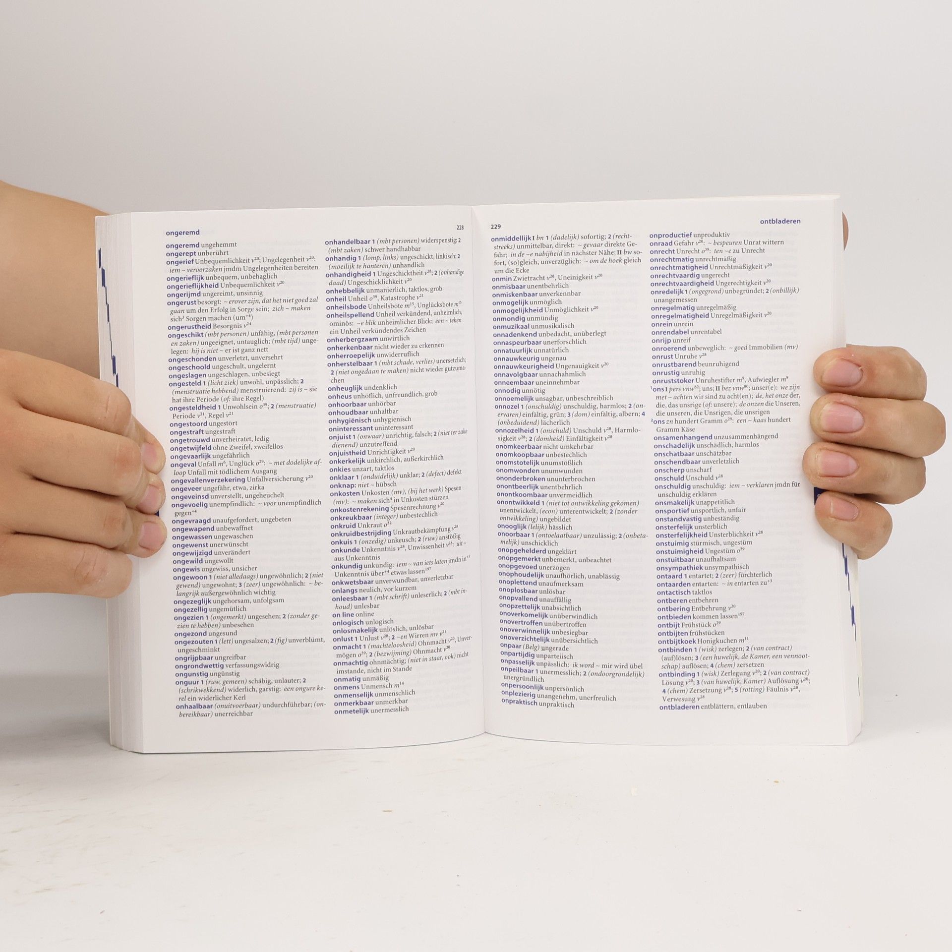 Schoolwoordenboek Nederlands-Duits