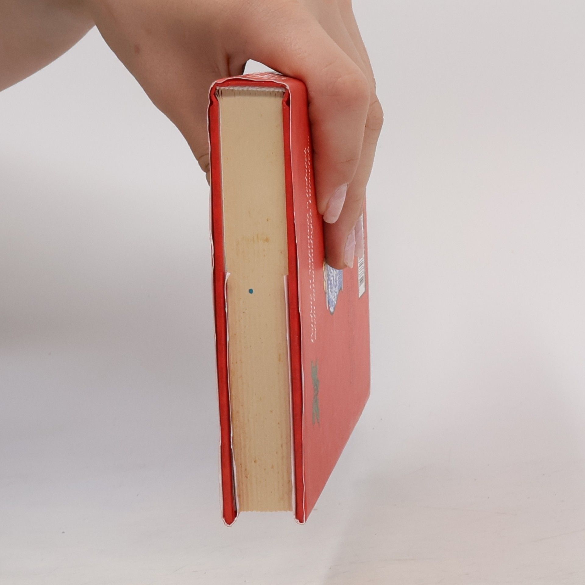 Jacqueline Wilson Vánoční překvapení