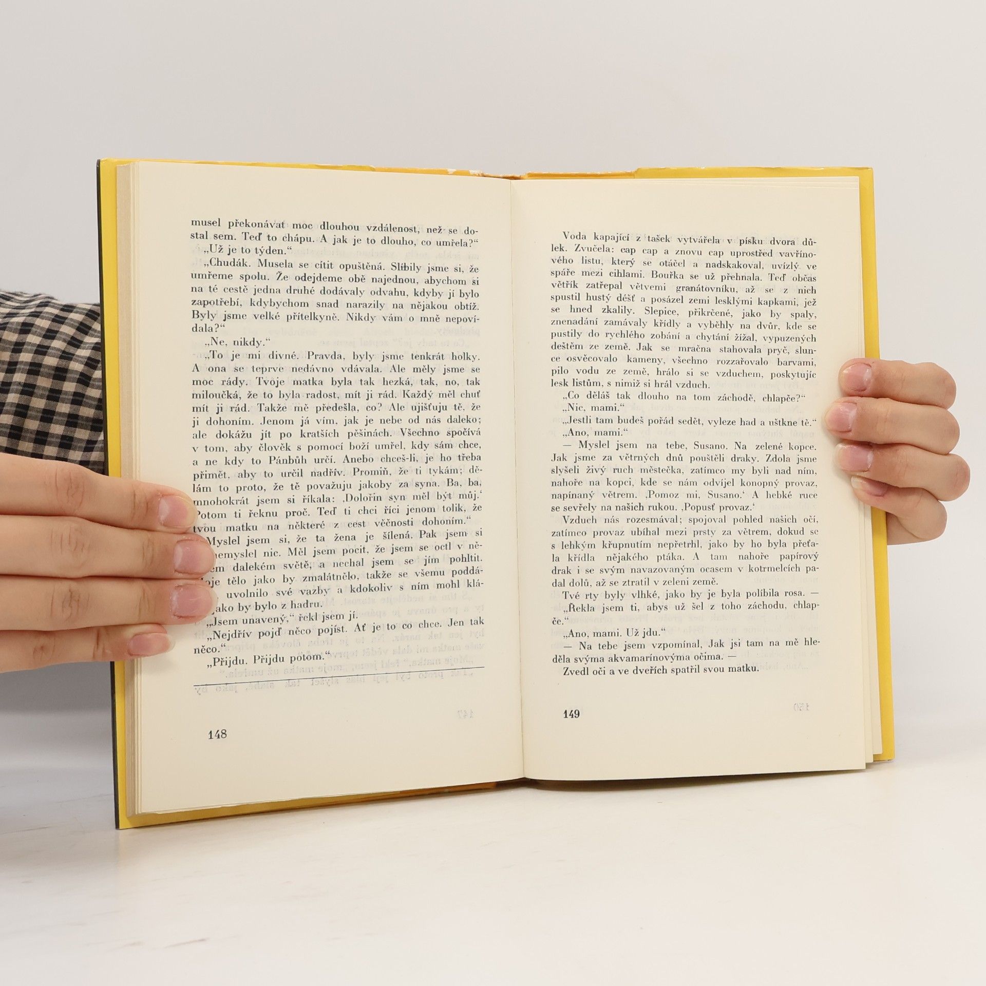 Juan Rulfo Llano v plamenech. Pedro Páramo