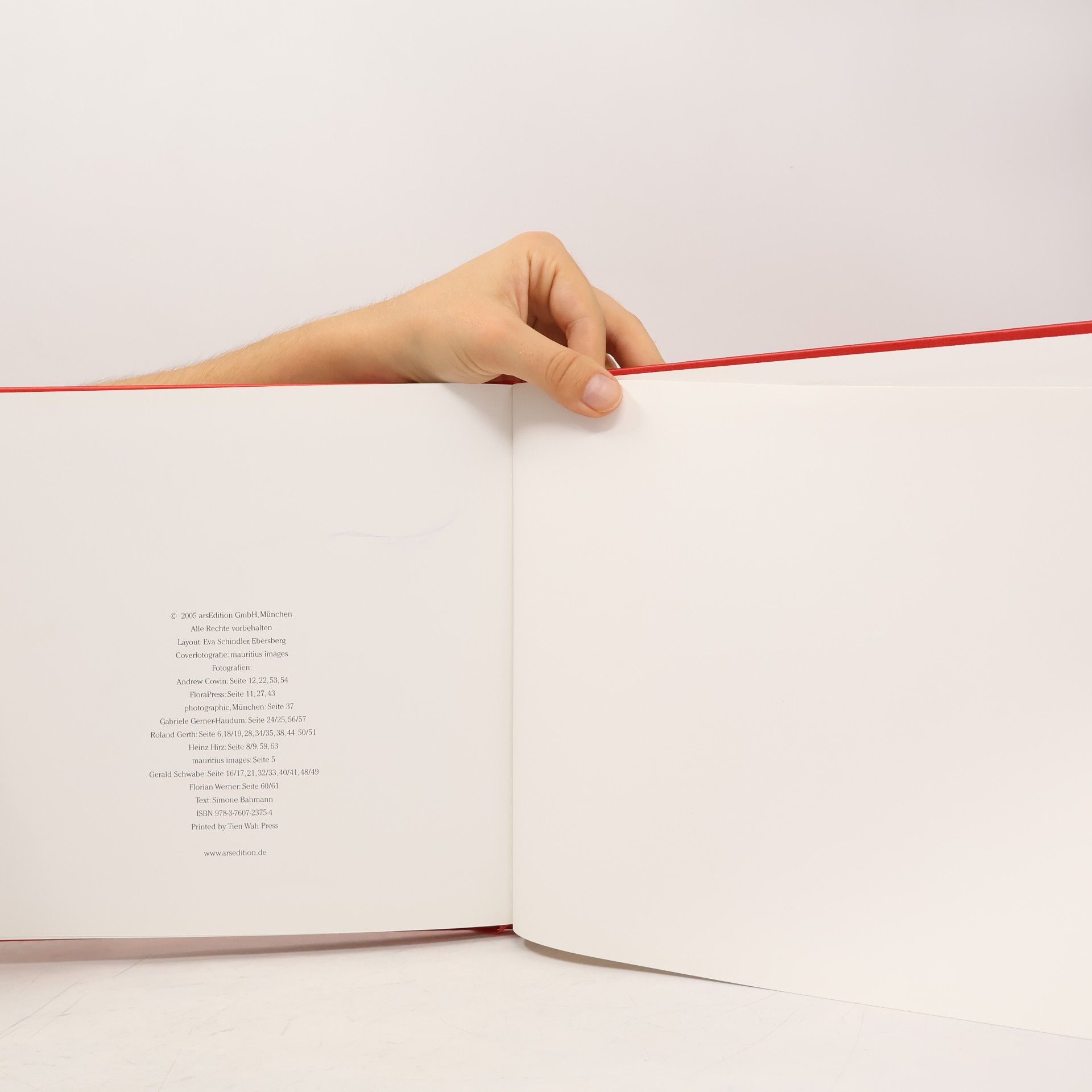 Simone Bahmann Das Leben - ein Fest