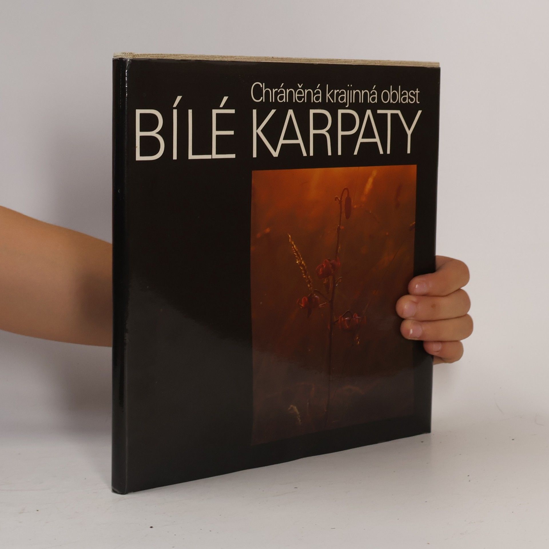 Vít Trachtulec Chráněná krajinná oblast Bílé Karpaty