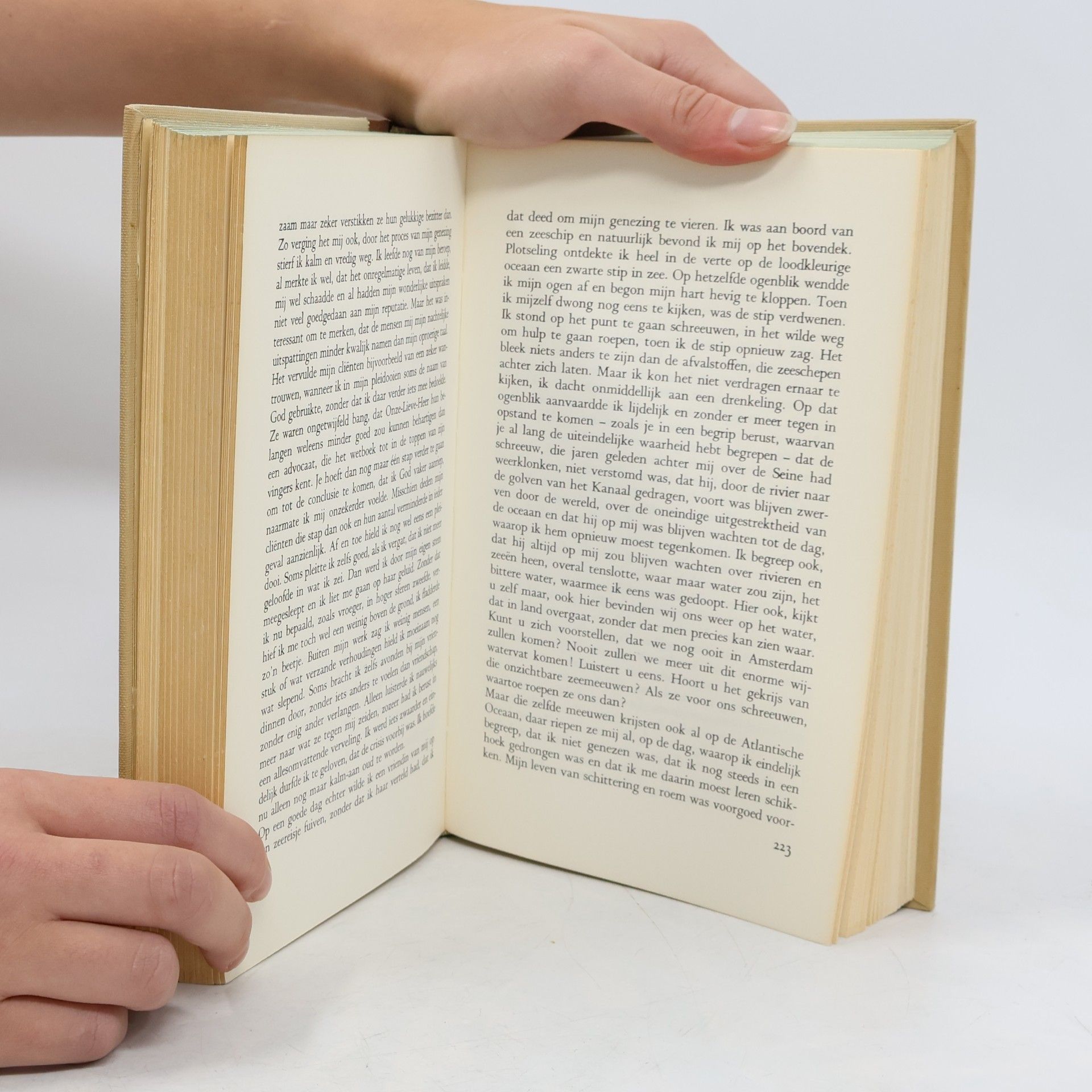 Albert Camus Pantheon der Nobelprijswinnaars Literatuur
