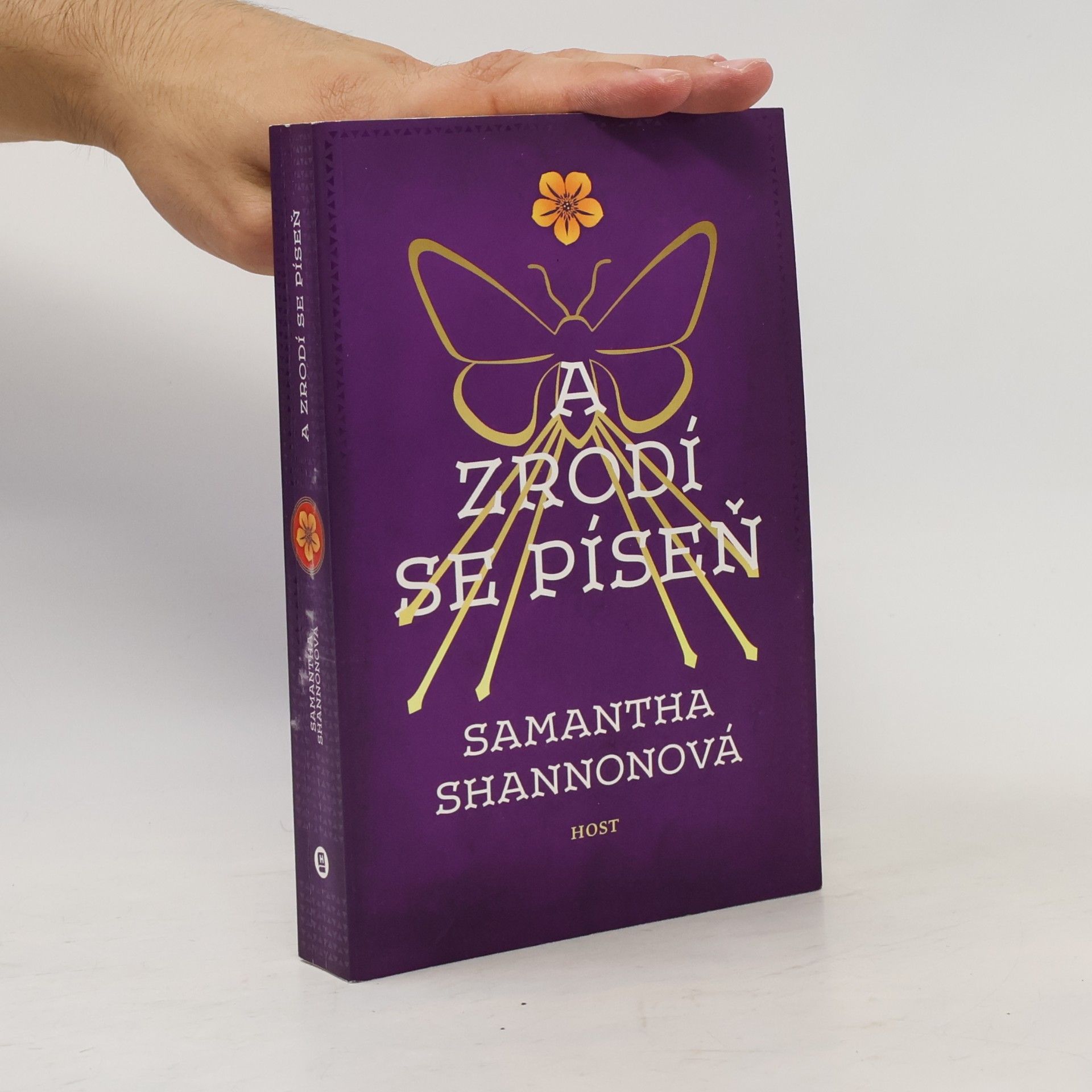Samantha Shannon A zrodí se píseň