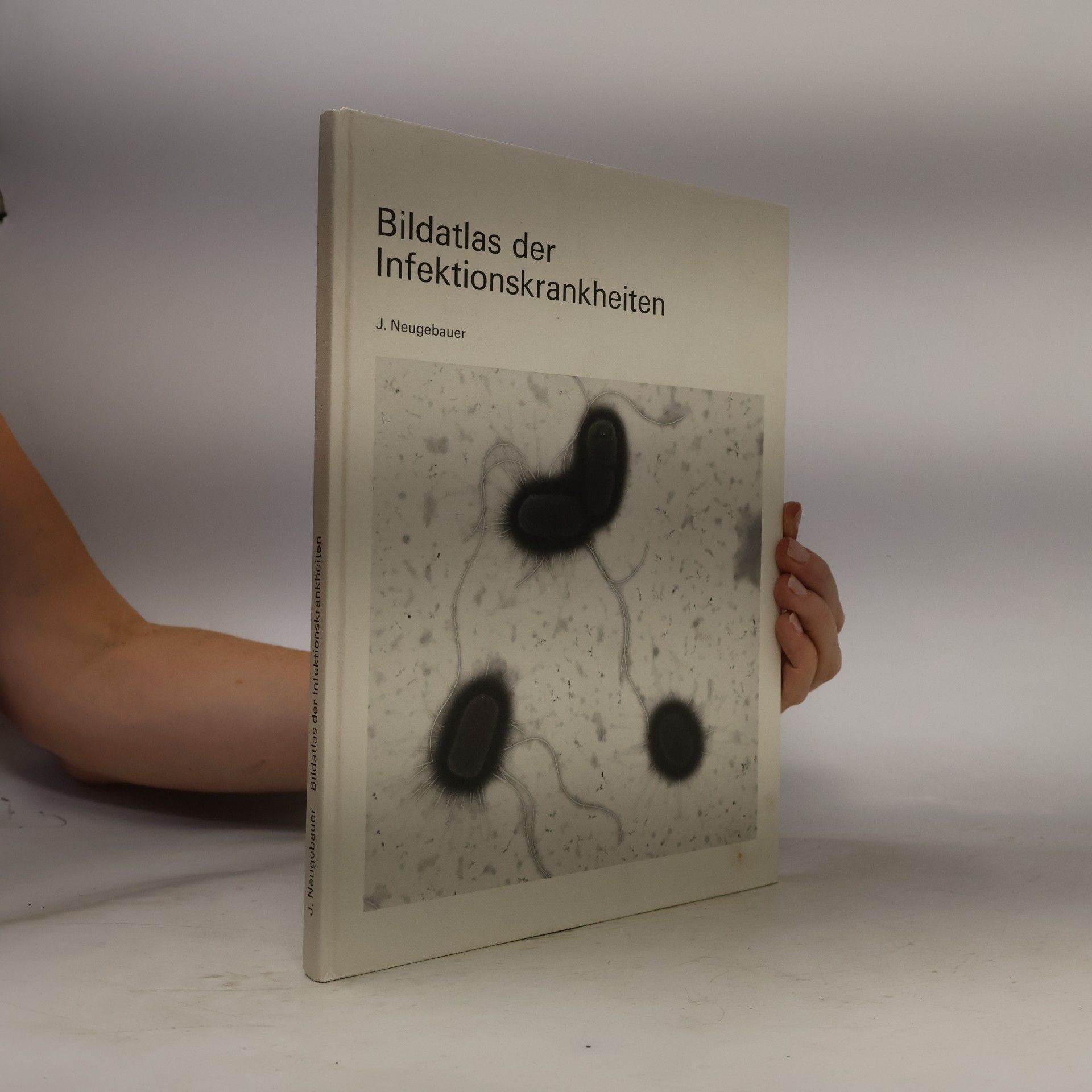 Josef Neugebauer Bildatlas der Infektionskrankheiten