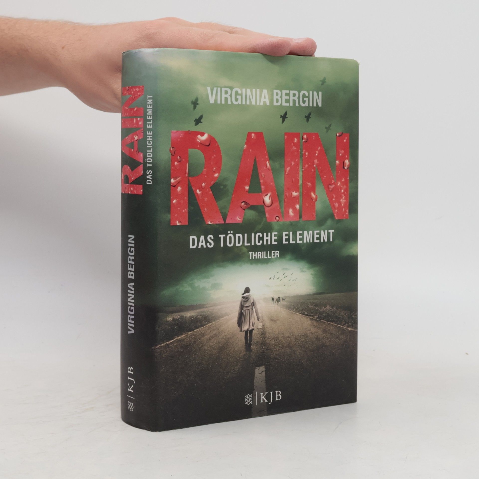 Virginia Bergin Rain - das tödliche Element