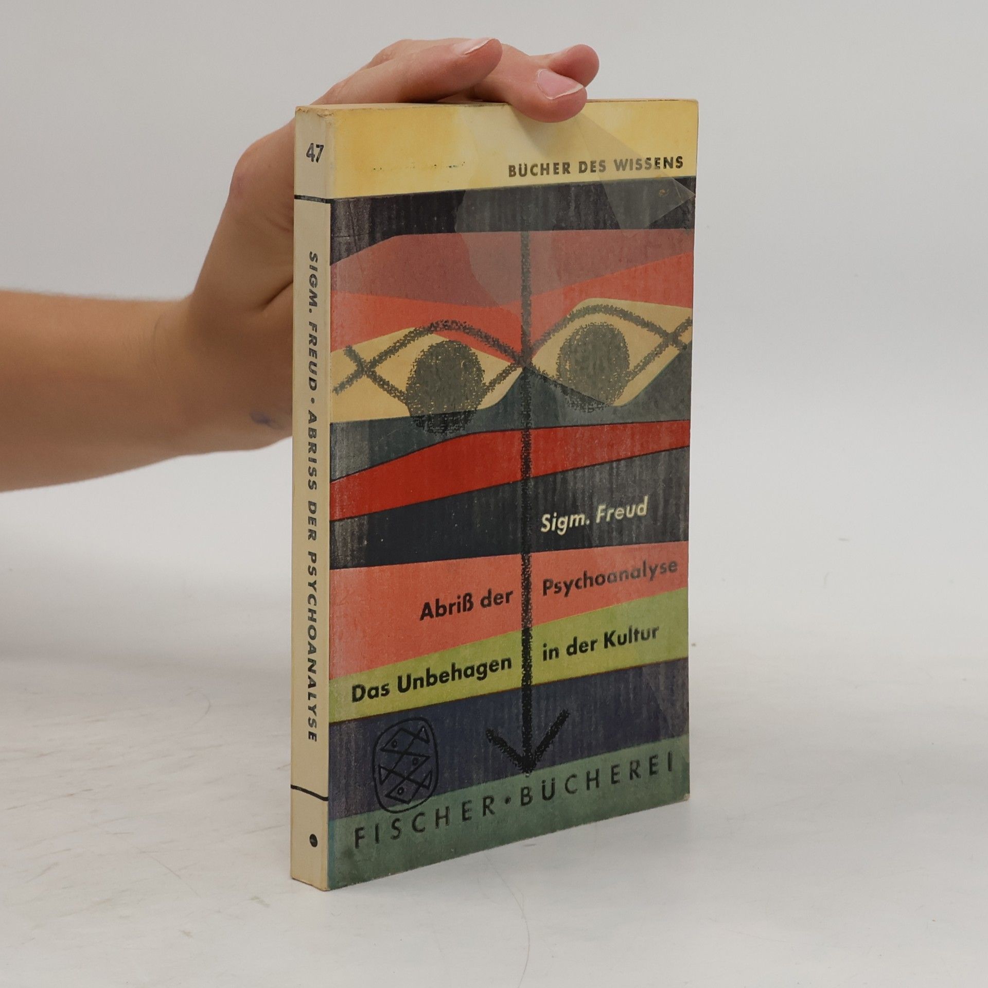 Sigmund Freud Abriß der Psychoanalyse