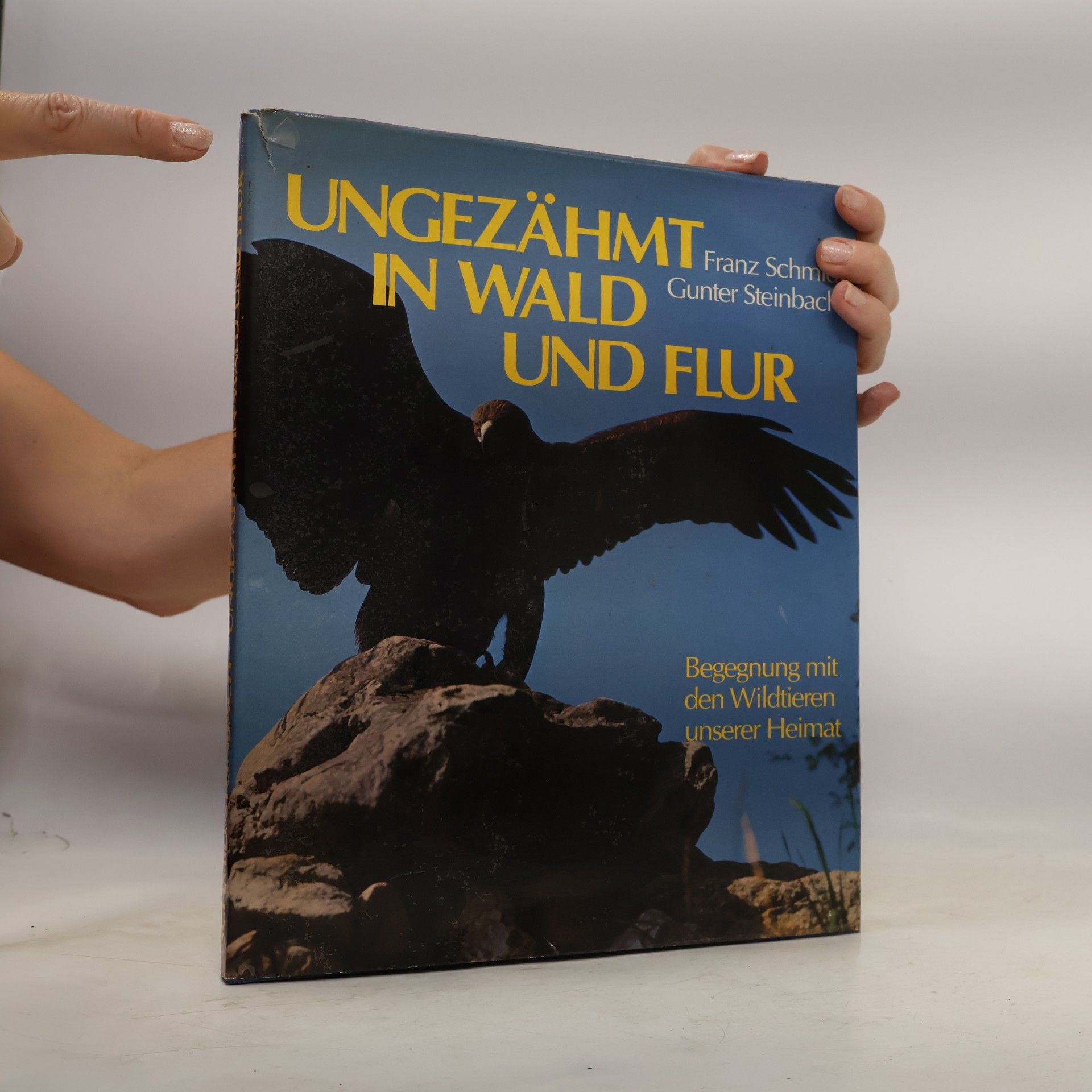 Franz Schmid Ungezähmt in Wald und Flur