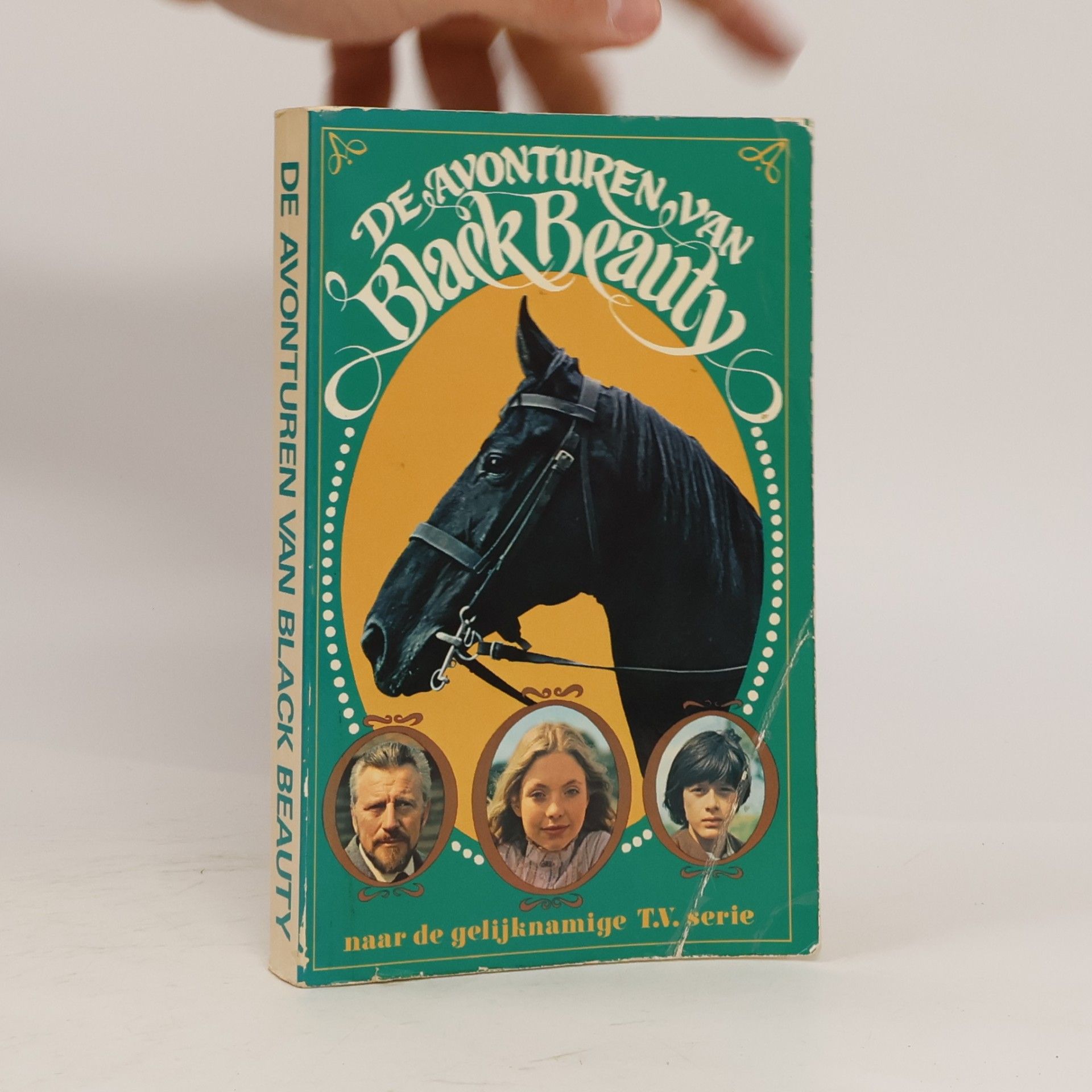De avonturen van Black Beauty