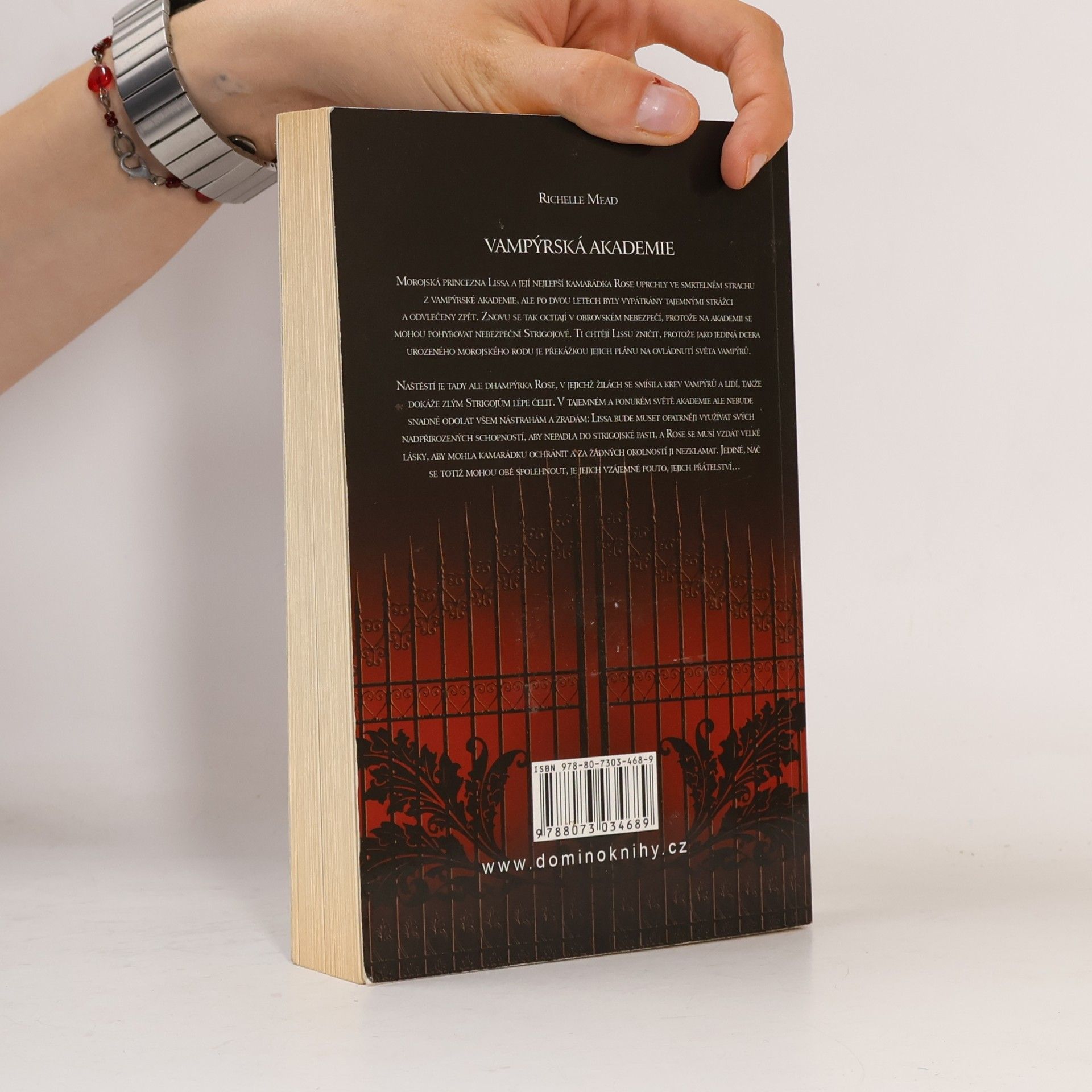 Richelle Mead Vampýrská akademie