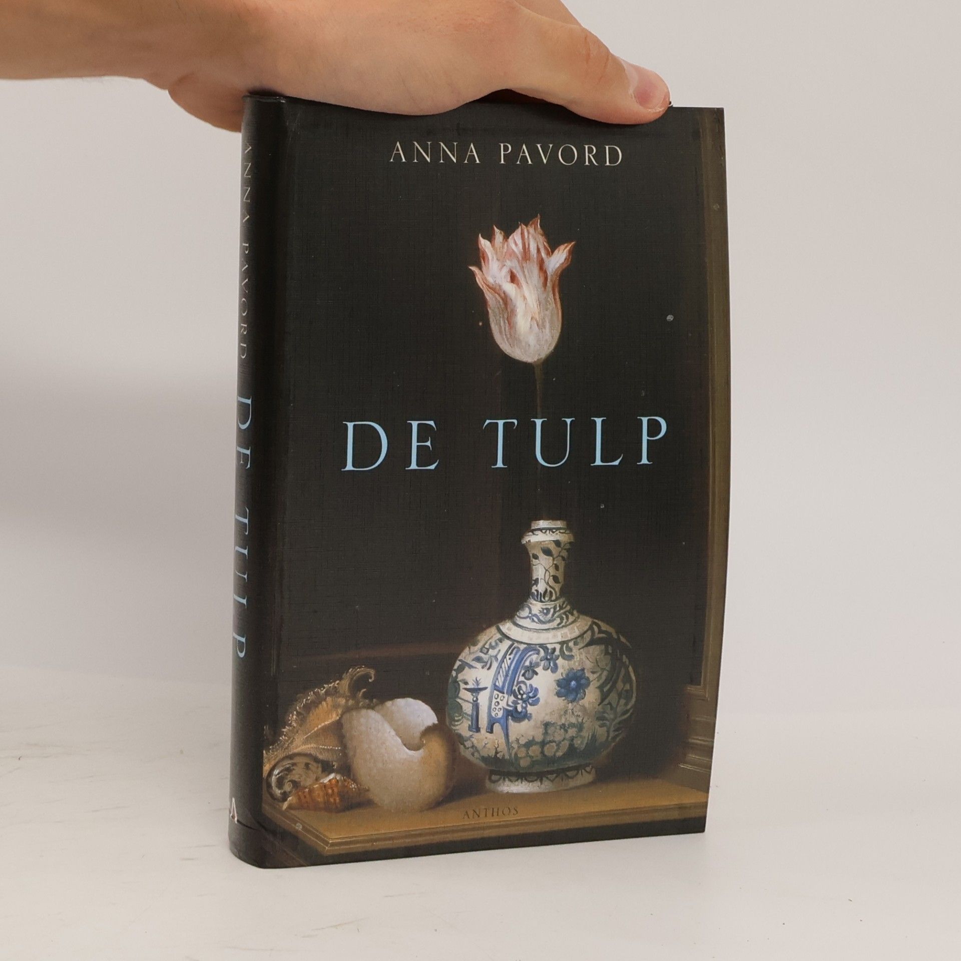 Pavord Anna De tulp