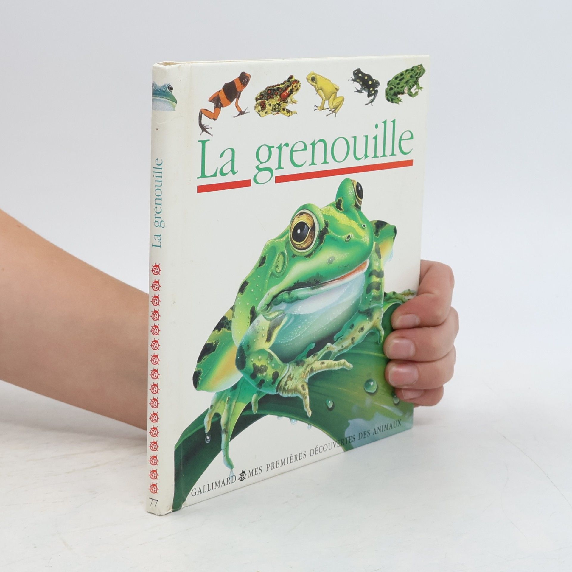 La grenouille