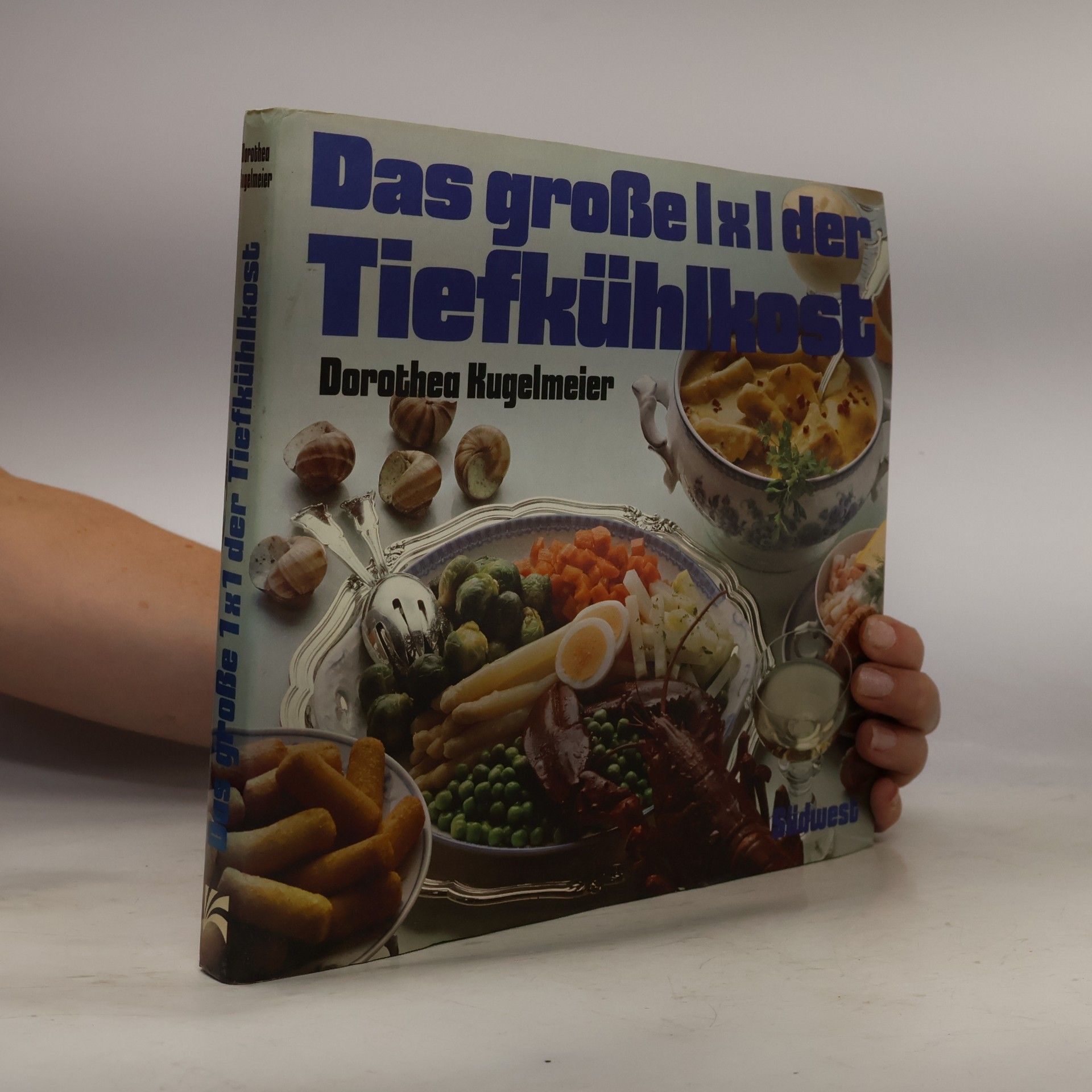 Dorothea Kugelmeier Das große Ixl der Tiefkühlkost